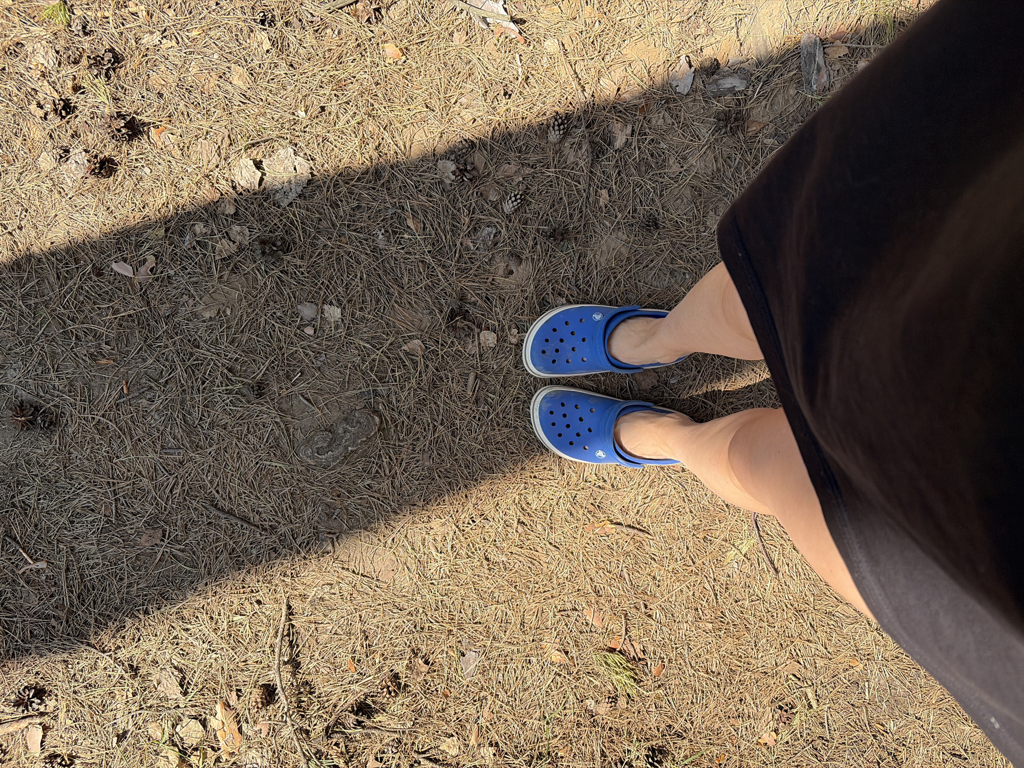 A medium, high-angle shot shows a person wearing blue Crocs standing on a bed of dry pine needles, leaves, and pine cones in an outdoor setting. A portion of a black garment, possibly a dress or skirt, is visible on the right side of the frame. A shadow is cast across the upper left of the scene. The photograph may have been taken in Chaikovsky, Russia, but there is no clear evidence of this in the image. The scene is brightly lit, suggesting it is daytime.