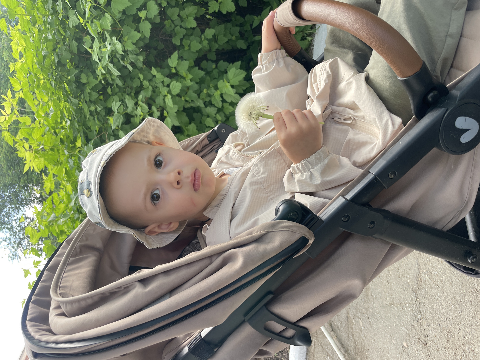 A young child sits in a stroller, holding a dandelion. The stroller is made of brown and black materials. The child is wearing a light-colored jacket and hat. Green foliage is visible in the background. The location is in an unknown city.