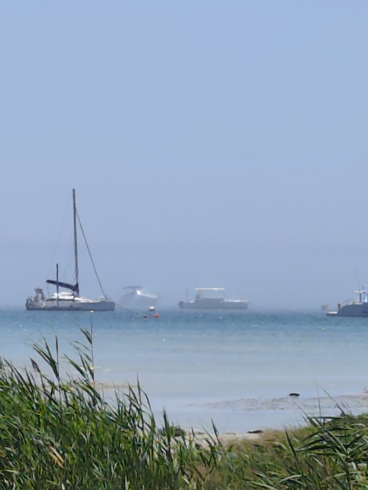 The image depicts a hazy, serene seascape with several boats anchored in the water. In the foreground, tall, green reeds sway gently, framing the view of the ocean. The water appears calm and shallow near the shore, with a sandy or pebbly seabed visible in some areas.
Further out, a white catamaran with a prominent mast is anchored. Behind it, two other white boats, possibly motorboats, are visible. To the far right, another vessel, also white, is partially obscured by the haze. The sky is a pale, washed-out blue, suggesting a bright but possibly humid day. There are no people visible in the image. The scene is peaceful and tranquil, characteristic of a coastal environment in Aktau, Kazakhstan, known for its Caspian Sea coastline and numerous bays and beaches.