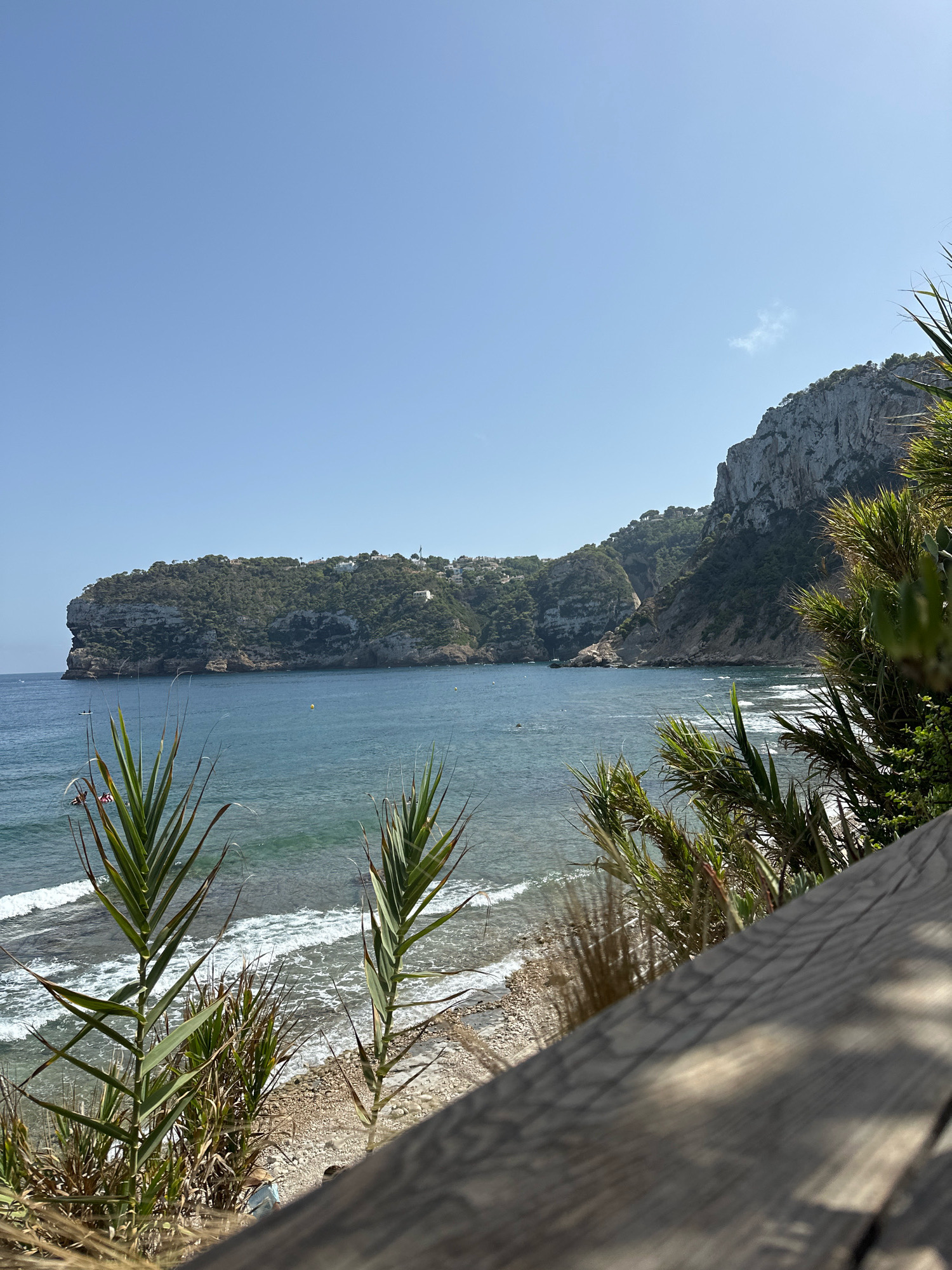 The image depicts a scenic view of a coastal landscape in Xàbia/Jávea, Spain. In the foreground, a wooden railing and some tall, thin vegetation, possibly reeds or palm fronds, are visible, with some casting shadows. Beyond this, a pebble beach meets the clear, blue-green Mediterranean Sea. Small waves gently lap the shore. Further out, the water is calm with a few yellow buoys. Dominating the background is a large, verdant cliff face dotted with white buildings, suggesting a town or village perched on its slopes. The cliff is rugged and layered with a lighter, rocky stratum towards its base. The sky above is a clear, pale blue with no clouds. The scene is bathed in bright sunlight, indicating a warm, sunny day.