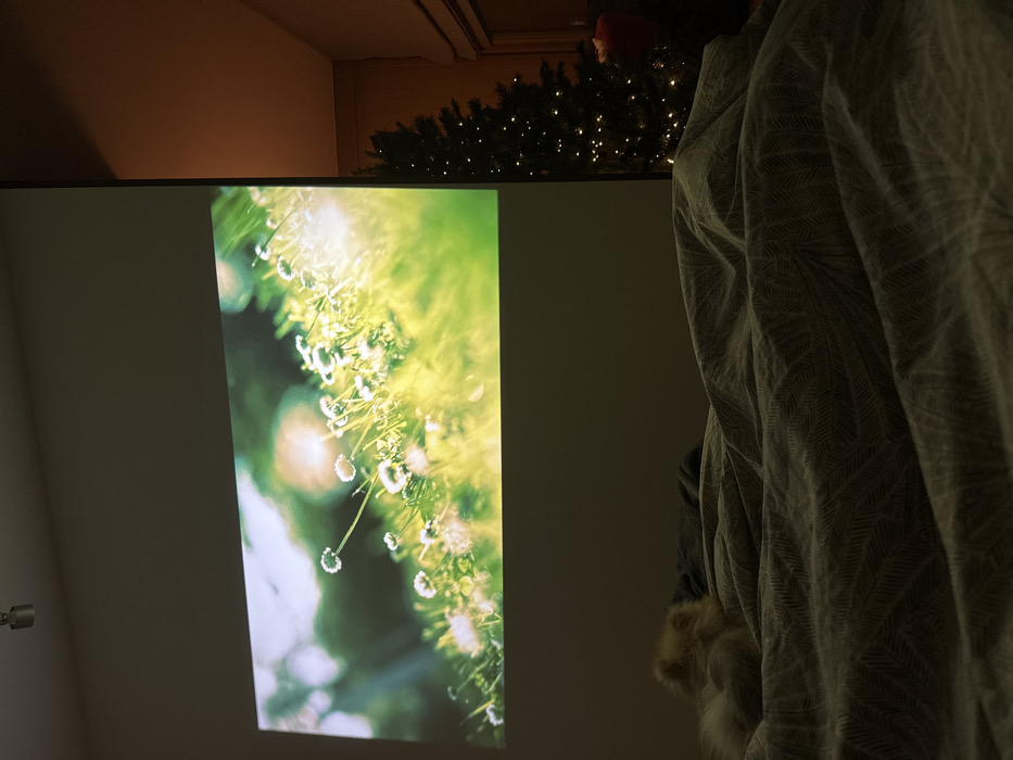 A bright image of green grass with small white flowers is projected onto a white wall. Next to the wall is a person draped in a patterned blanket. Above the screen, there is the top of a Christmas tree with lights. A silver wall mount is visible on the left.
