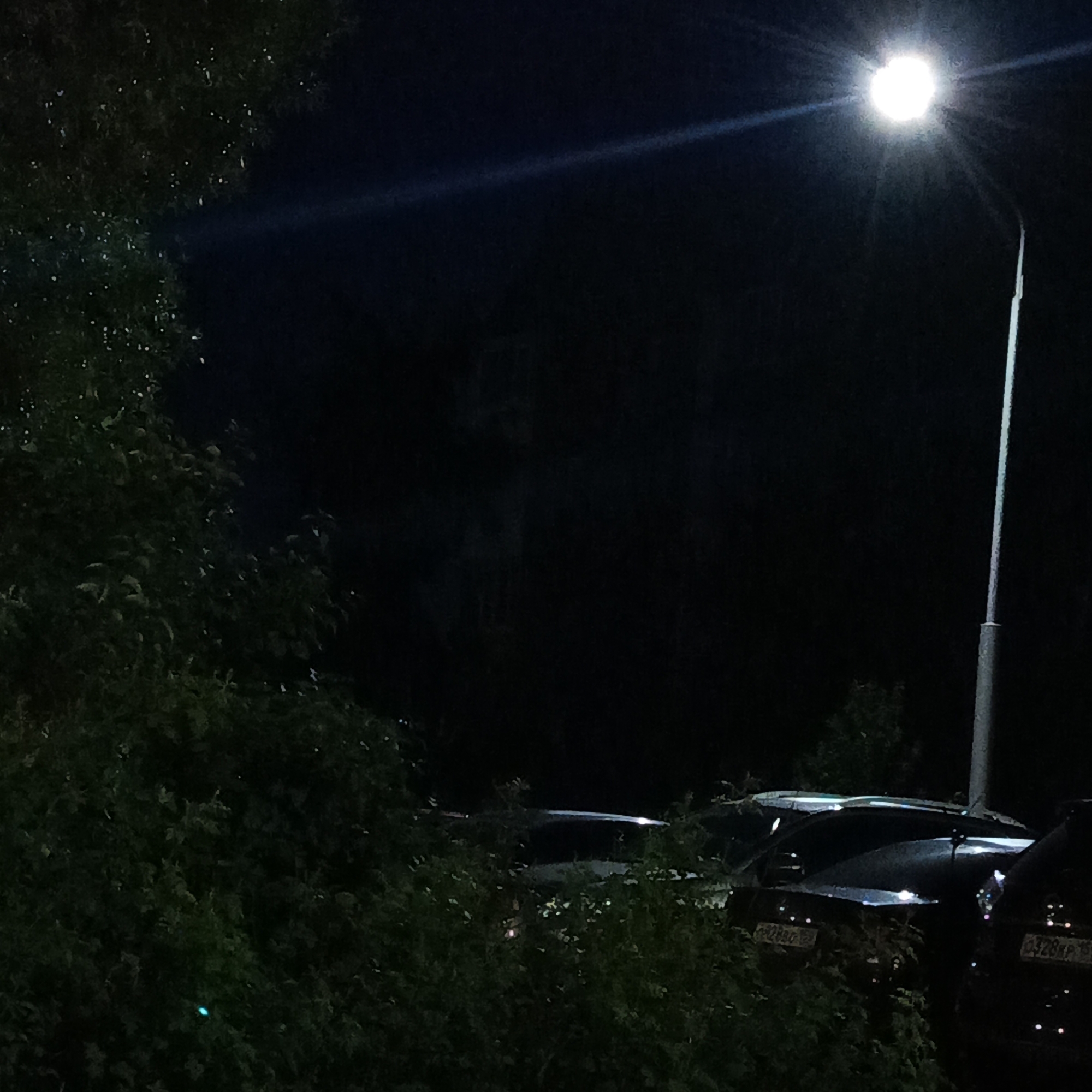 A night scene depicts a streetlamp illuminating parked cars and foliage. The streetlamp, emitting a bright white light, is positioned in the upper right quadrant, its pole extending downwards. To the left and foreground, dense green foliage obscures the lower portion of the image. Parked cars are visible in the mid-ground, their dark surfaces reflecting the light from the streetlamp. Some of the cars have license plates visible, suggesting they are in a public or residential area. The overall environment appears to be outdoors, likely a street or parking lot in a sparsely lit urban or suburban setting, possibly in the village of Марковский, Russia, given the context. No people are visible in the scene.