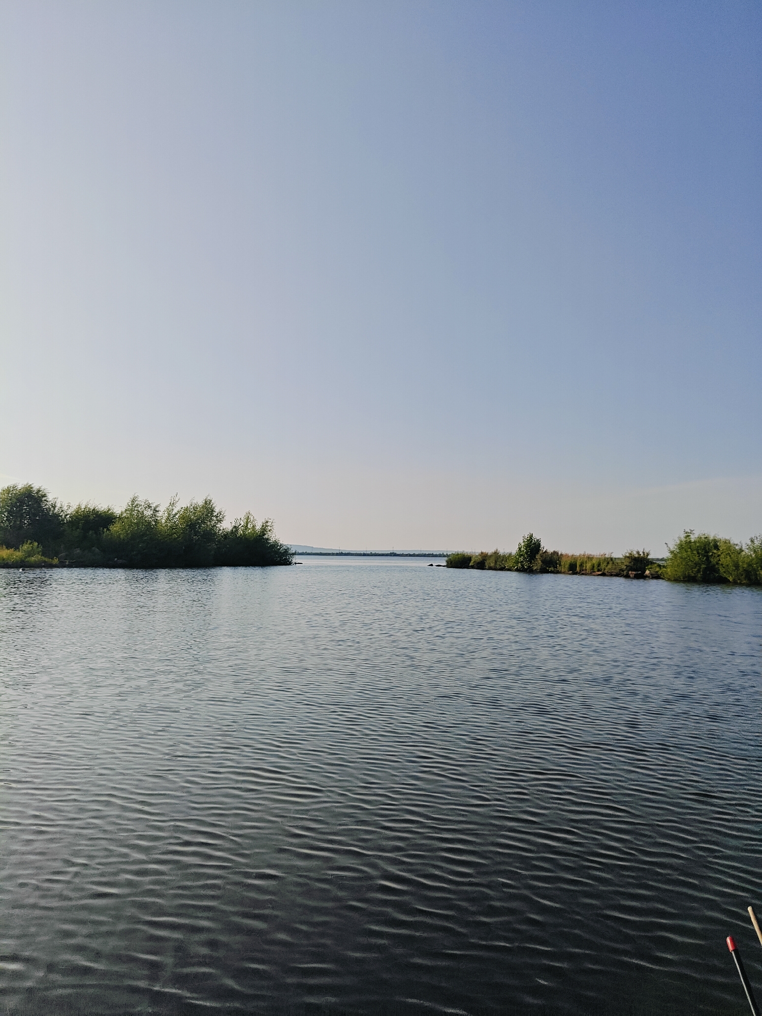 The image depicts a serene landscape of a body of water, likely a river or lake, with a clear blue sky overhead. On the left side of the frame, a cluster of lush green trees forms a small island or peninsula jutting into the water. To the right, a similar but smaller patch of greenery extends from the distant shore. The water surface exhibits gentle ripples, suggesting a calm atmosphere. In the foreground, the bottom right corner of the image shows the tips of two fishing rods, one with a red and white float, indicating that someone is likely fishing from the vantage point of the camera. The scene is likely located in Chaikovsky, Russia, given its characteristic natural beauty and the presence of water bodies. There are no people visible in the frame, and the overall impression is one of tranquil solitude.