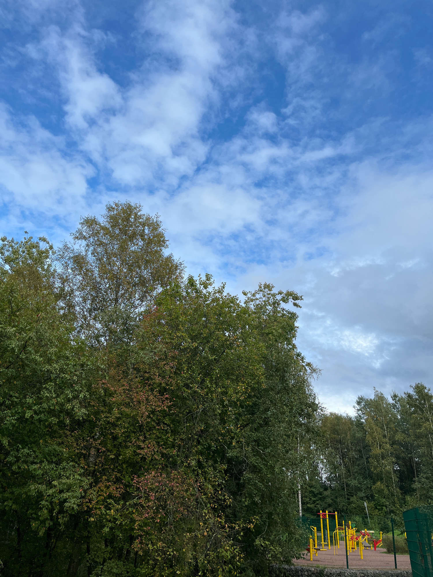 In Beloostrov, Russia, this image captures an outdoor scene with a clear blue sky dotted with white, wispy clouds. In the foreground, a dense canopy of green trees dominates the left and center of the frame, with some leaves displaying autumnal hues of red and yellow. To the right, a section of an outdoor fitness area is visible, featuring bright yellow exercise equipment enclosed by a green fence. A stone wall borders the fitness area. The background consists of a line of tall, slender trees against the sky. No people are present in the image.