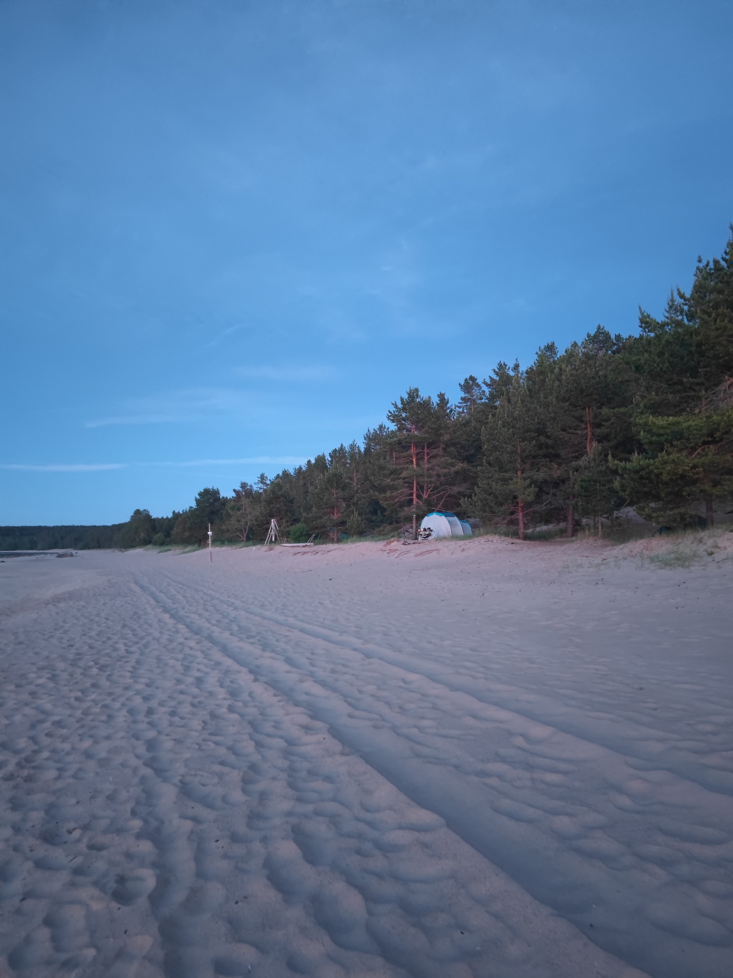 The image depicts a sandy beach scene with a line of pine trees bordering the sand. The sky is a clear, pale blue, suggesting either dawn or dusk. The sand shows tire tracks, indicating vehicular activity on the beach. In the background, near the tree line, two tents are visible, one white and blue and another white. A wooden structure, possibly a part of a playground or an observation post, stands on the beach closer to the foreground. The overall environment appears to be a natural setting, likely a recreational area, given the presence of tents and the open beach. The location is specified as Motornoe, Russia, suggesting this is a popular spot for outdoor activities.