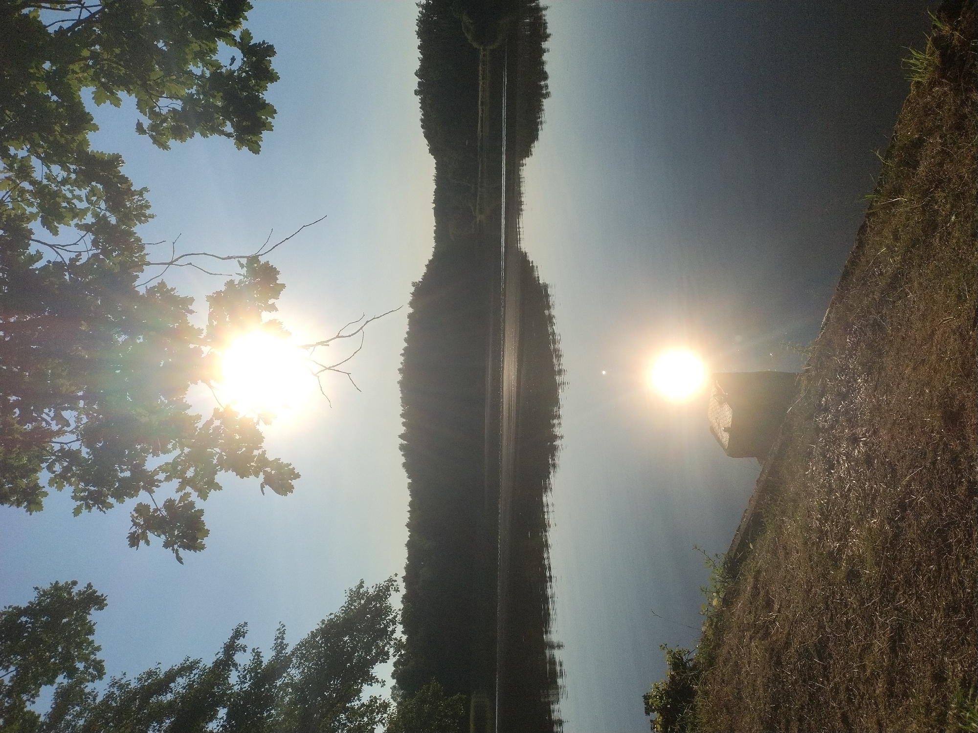 The image shows a sunlit body of water, likely a lake, with trees lining the far bank and branches of trees overhead. The sun is visible and is creating a reflection on the water. In the foreground, there is a grassy bank with a single stone or post. The image is taken outdoors, suggesting a natural setting. The location is specified as Dobev, Czechia.