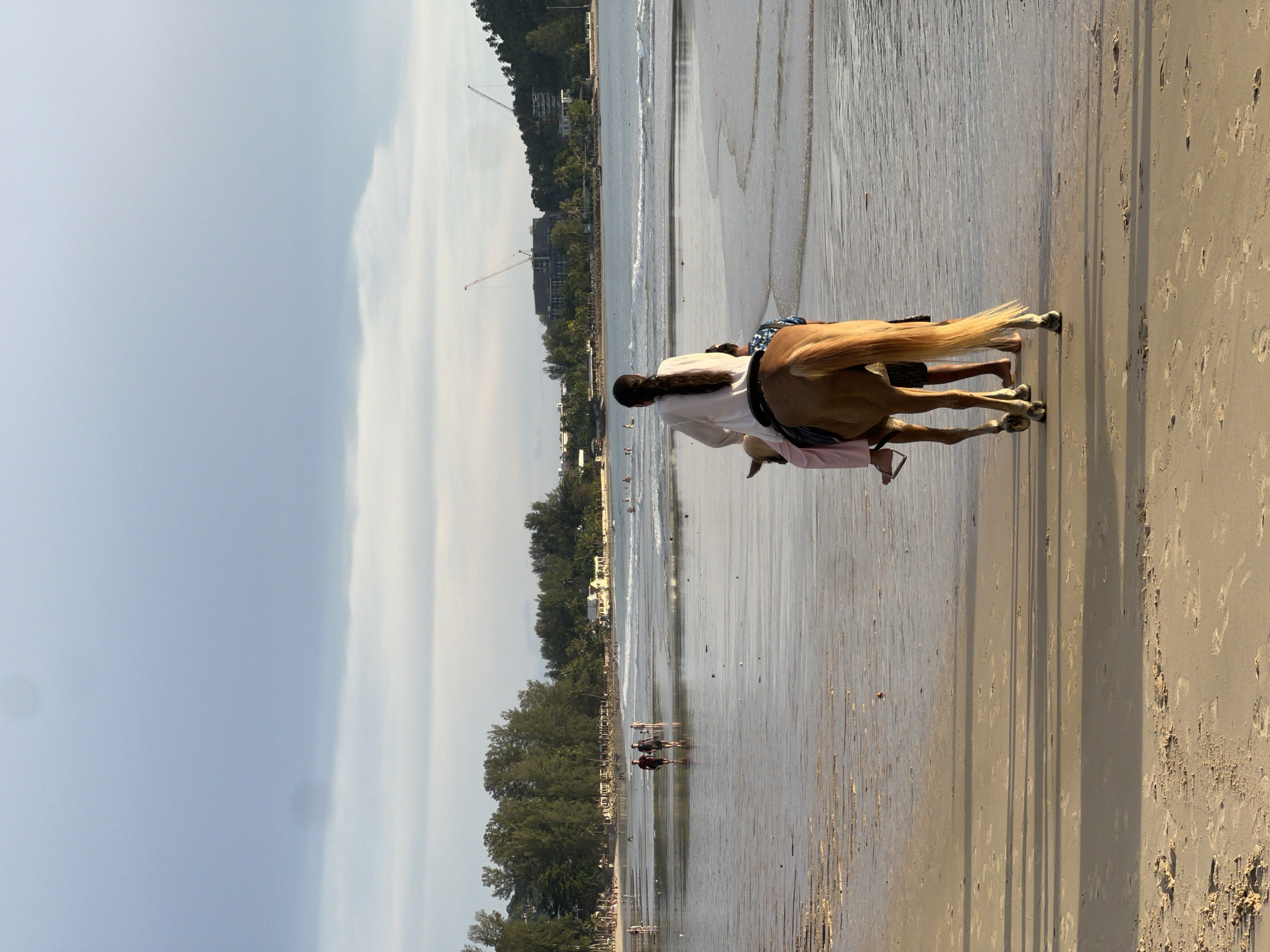 In the foreground, a horse walks along a sandy beach, carrying two people. The person in front, facing away from the camera, is seated on the horse and wears a white top and pink pants. Their feet are bare with a sandal on one foot. Behind them, another person, mostly obscured, stands on the horse's hindquarters. The horse has a light brown coat and a long, light-colored tail. The wet sand reflects the sky, and shadows are cast on the beach.
In the mid-ground, several people are walking on the wet sand near the waterline. Two individuals, seen from behind, are walking together, one in a dark red shirt and the other in a dark shirt. Further in the distance, more people can be seen wading in the shallow water and walking along the shoreline. The sea has gentle waves breaking onto the beach.
In the background, a line of lush green trees separates the beach from a developed area. Buildings, some with light-colored facades, are visible among the trees. Two large construction cranes are prominent against the sky, indicating ongoing development. The sky is cloudy, with a mix of grey and lighter blue tones. The overall scene suggests a seaside resort or a popular tourist beach during the late afternoon or early evening.