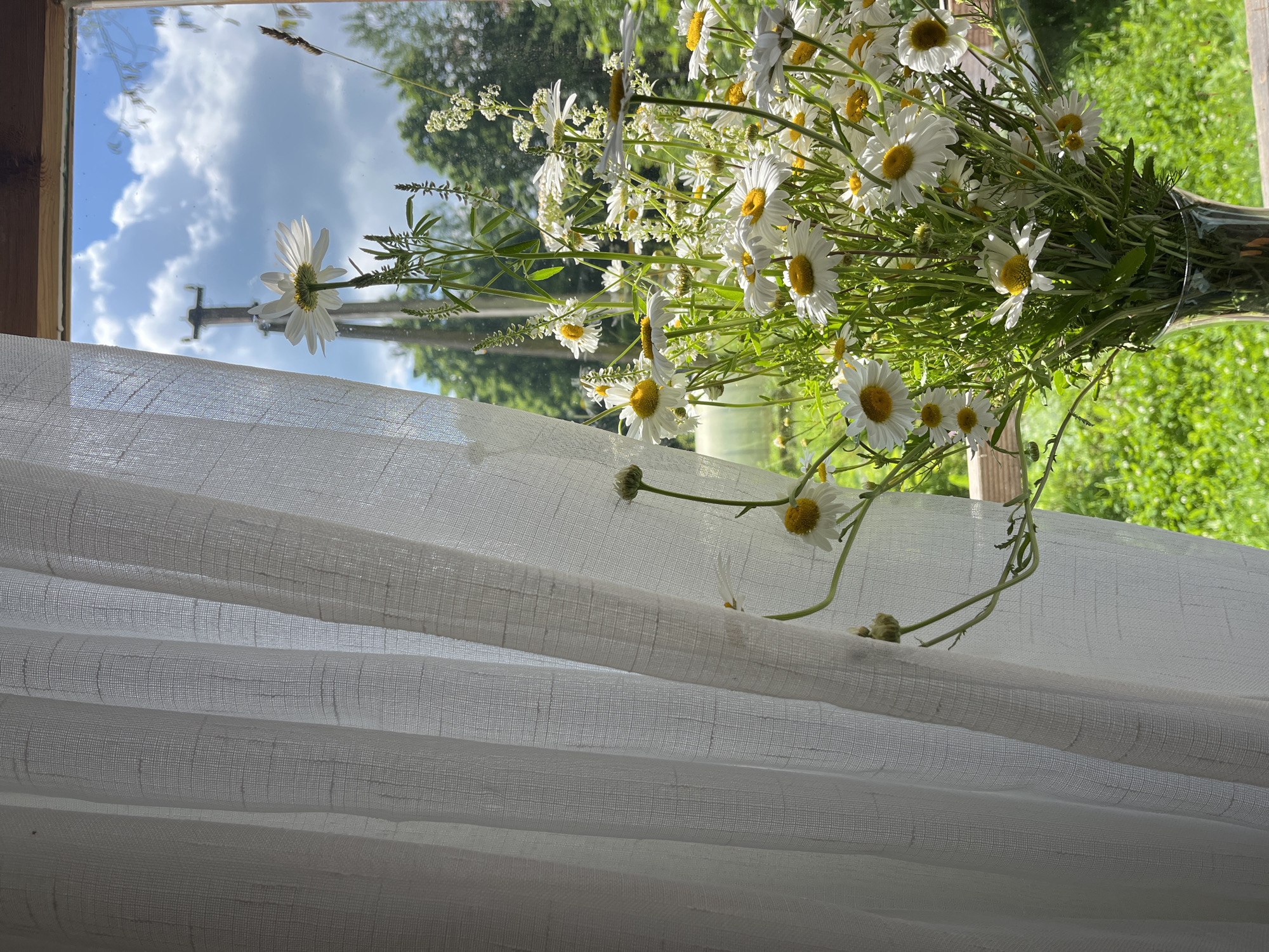 A bouquet of white daisies in a glass vase sits on a windowsill, partially obscured by a white linen curtain. The window looks out onto a sunlit green landscape with trees and a bright blue sky dotted with clouds. A utility pole is visible in the distance. The scene is likely in a rural setting within or near the city of Starye Politsy, Russia, given the natural surroundings.