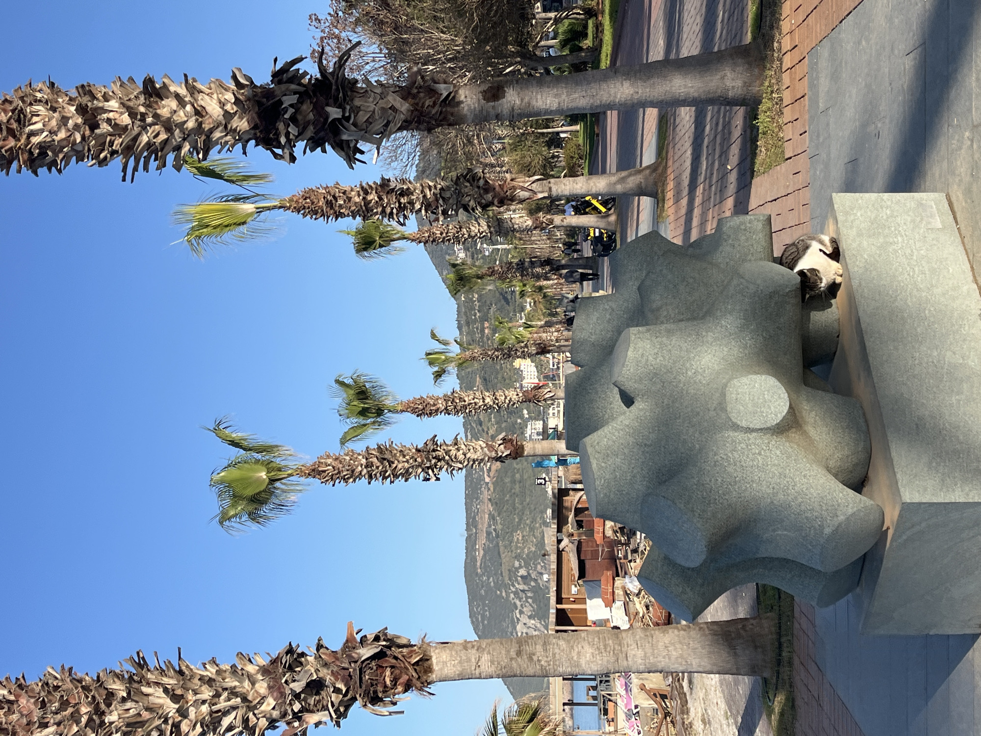 The image depicts a row of palm trees lining a street in Alanya, Turkey. In the foreground, there's a large, grey, gear-shaped concrete sculpture, with a cat resting on it. Behind the trees, mountains are visible. Some construction is going on behind the sculpture. Two people on motorcycles are partially visible in the distance on the right. The sky is clear and blue.