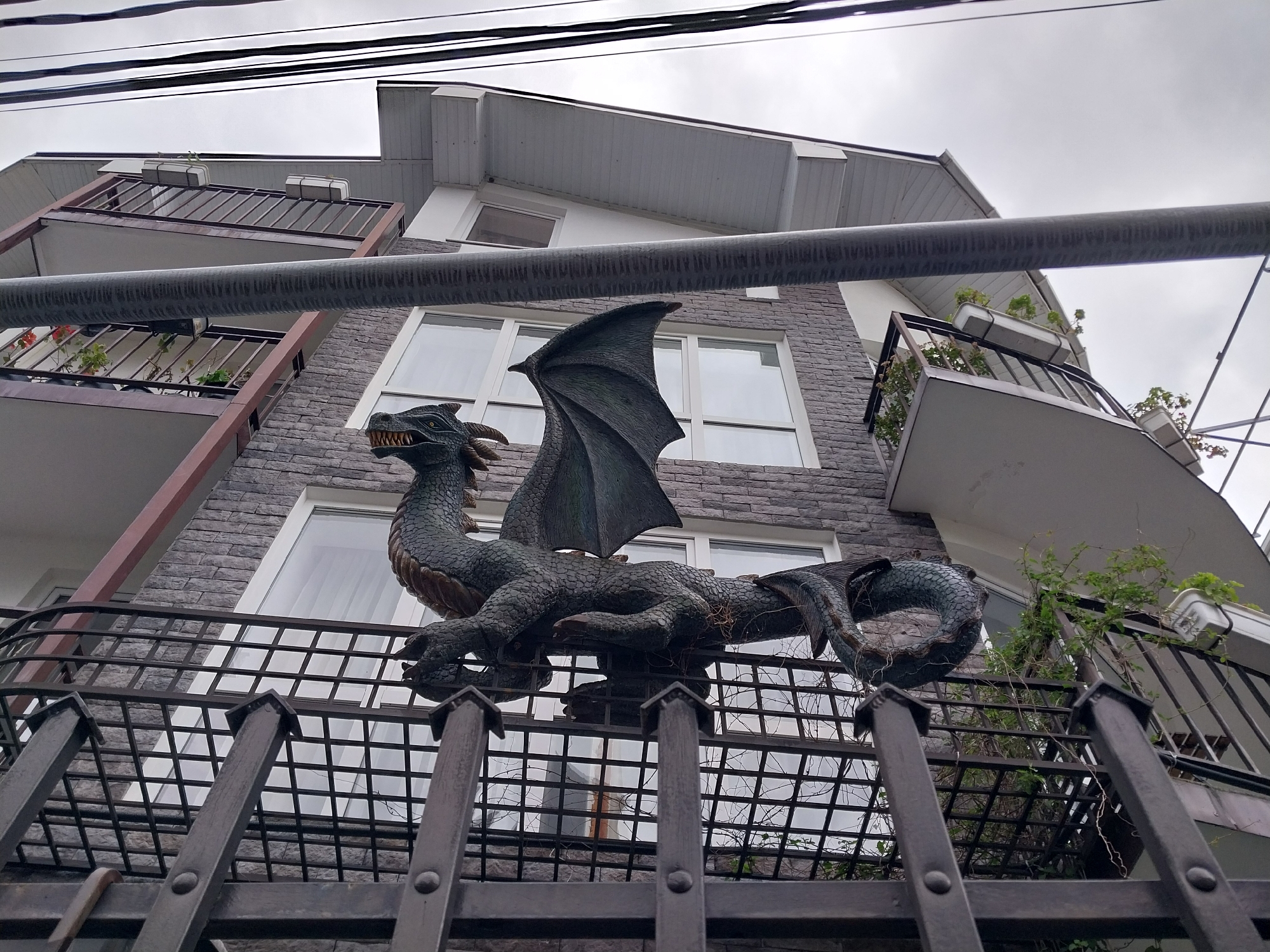 The image shows a bronze dragon sculpture perched on a fence. The fence is wrought iron, with vertical bars and a horizontal grid. Behind the fence, a multi-story building is visible, featuring a gray brick facade and white-framed windows. There are also balconies with plants. Power lines are visible against the cloudy sky. The dragon sculpture is the focal point of the image. The location is in the city of Sochi, Russia.