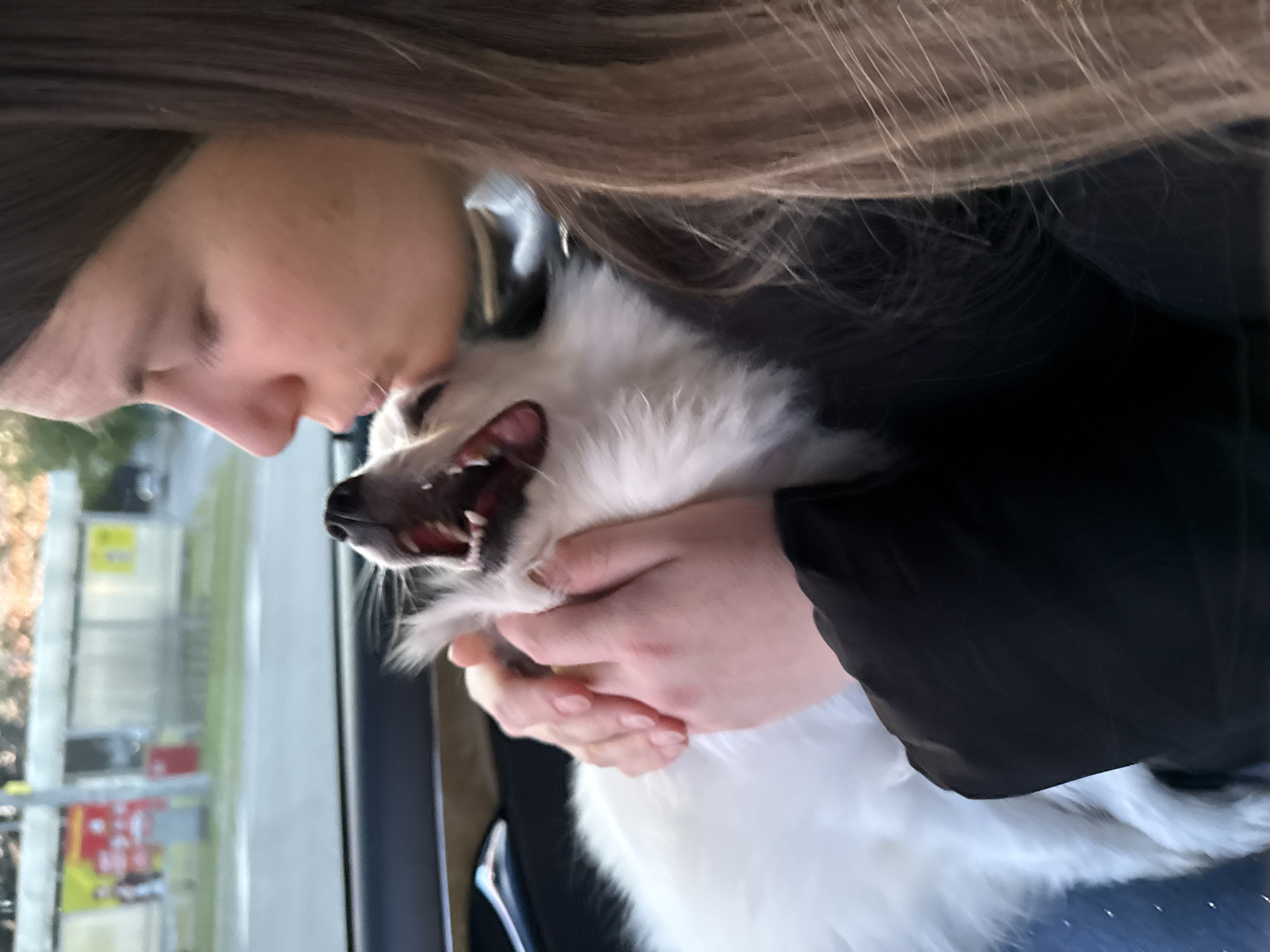 A person is holding and nuzzling a small, white dog with its mouth open in what appears to be a car. The person has light skin and long, light brown hair. The dog's mouth is open, showing its teeth and tongue. The background shows a blurred view of buildings and possibly a street outside the car window. It cannot be confirmed if the location is in Stara Zagora, Bulgaria, due to the lack of specific or recognizable features in the image.