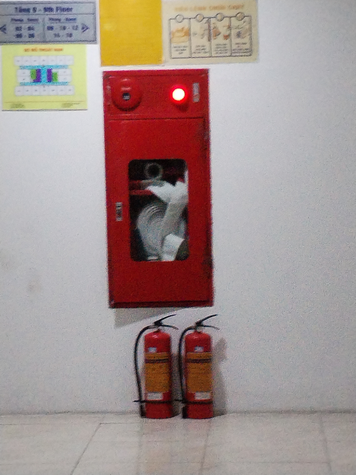 The image displays a fire safety station positioned against a white wall in what appears to be an indoor corridor or public area, likely in Bac Nha Trang Ward, Vietnam.
The main subject is a red fire hose cabinet centrally located on the wall, with a small red indicator light illuminated at its top right corner. A clear window on the cabinet door reveals a white fire hose neatly coiled inside. Below the cabinet, two red fire extinguishers with yellow labels stand on the tiled floor.
Above the fire safety equipment, three signs are affixed to the wall. The top-left sign, rectangular and light grey, displays text including "Tầng 5 - 9th Floor" and numerical ranges like "02-04", "05-06", "08 10-12", "14-16", along with "PHÒNG TẬP". Below this is a yellow sign with a grid-like diagram, possibly a floor plan or schedule, but the text is unreadable. To its right, a plain yellow square is visible. The top-right sign, light brown, features a series of small, illustrative diagrams, potentially depicting instructions or emergency procedures, but the accompanying text is too blurry to decipher.
No people are present, and no specific activity is taking place; the scene is static. The overall impression is one of readiness for emergency situations. The lighting suggests an indoor setting, likely artificial. The floor is covered with light-colored tiles. The image has a grainy texture.