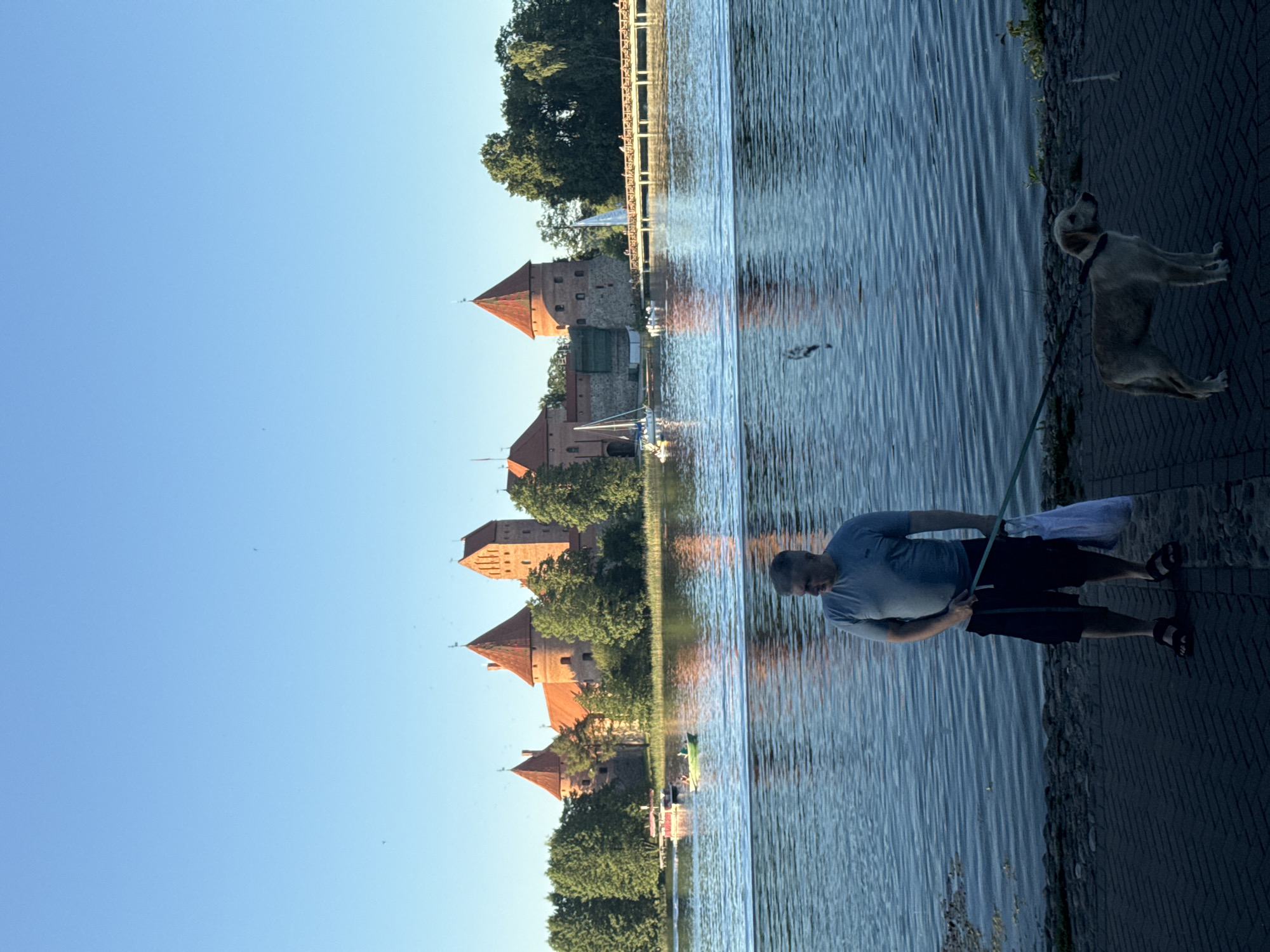 A man and a dog are standing on a paved walkway next to a body of water. The man is wearing a grey t-shirt and black shorts, and is holding a leash attached to the dog. The dog is a light brown color and is wearing a black collar. In the background, across the water, is Trakai Island Castle, a historic fortress with red-tiled roofs and stone walls, surrounded by trees. There are several sailboats and smaller boats on the water in front of the castle. The sky is clear and blue.