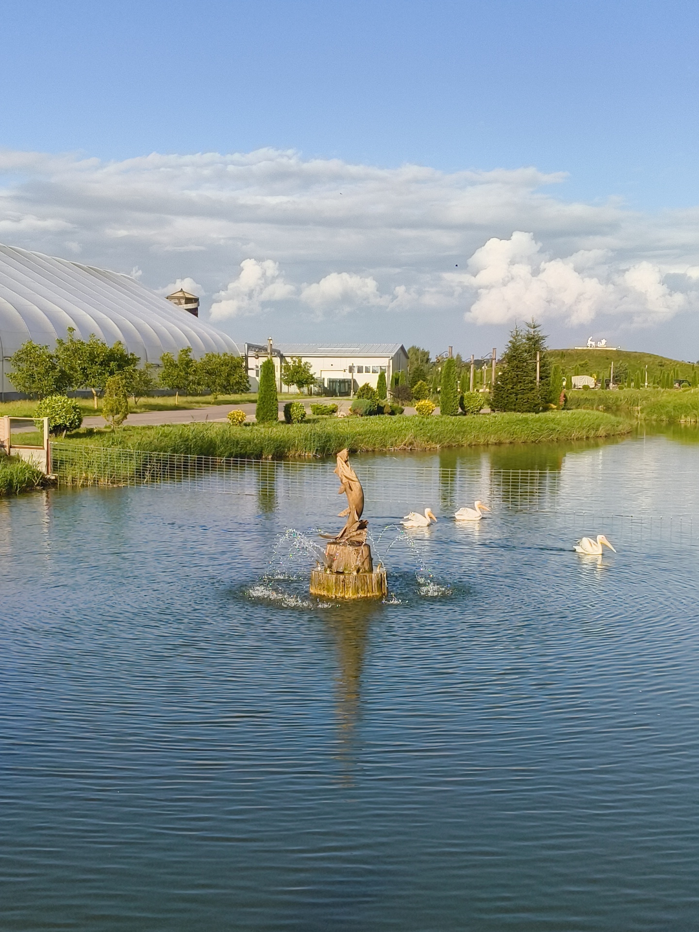 The image depicts an outdoor scene at a body of water, likely a pond or lake, with a fountain in the foreground. The fountain features a sculpture of a fish leaping out of the water. Three white pelicans are visible swimming in the water, two in the mid-ground and one further to the right. In the background, a large, domed, white structure is partially visible on the left, possibly a greenhouse or sports facility. Several trees and manicured bushes are situated between the domed structure and the water's edge. Further to the right, a gently sloping hill is topped with what appears to be a white sculpture of a horse and rider. The sky is blue with scattered white clouds. The location is identified as Malakhovetsky Sel'skiy Sovet, Belarus.