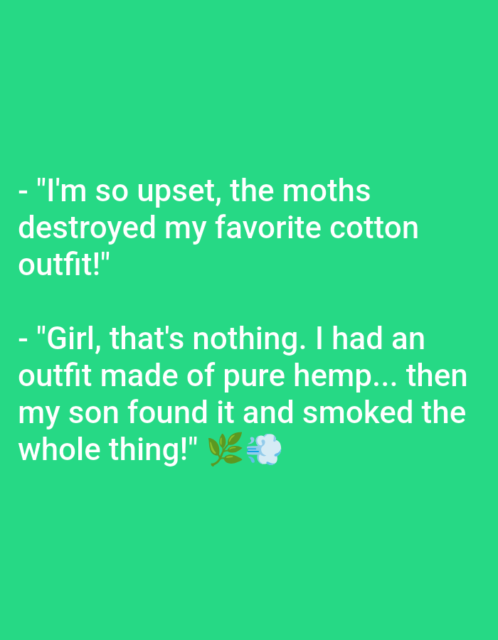 The image displays white text against a vibrant, plain green background. It presents a two-part dialogue or joke. The first line, indented with a dash, reads: "I'm so upset, the moths destroyed my favorite cotton outfit!" The second line, also indented with a dash but starting on a new line and without a preceding quote mark for the initial dash, follows: "Girl, that's nothing. I had an outfit made of pure hemp... then my son found it and smoked the whole thing!" This second statement is followed by a leaf emoji (🌿) and a puff of smoke emoji (💨), which visually reinforce the punchline related to smoking hemp. The text is clear and easily legible, suggesting a casual, conversational tone intended for humor. The background is a solid, untextured green.