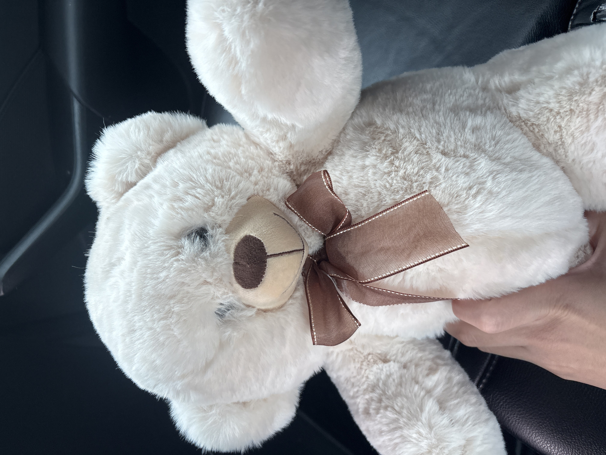 A close-up shot depicts a plush, white teddy bear lying inside a car. The teddy bear has a brown ribbon tied around its neck. A hand is partially visible, holding the teddy bear. The background is a dark car interior.