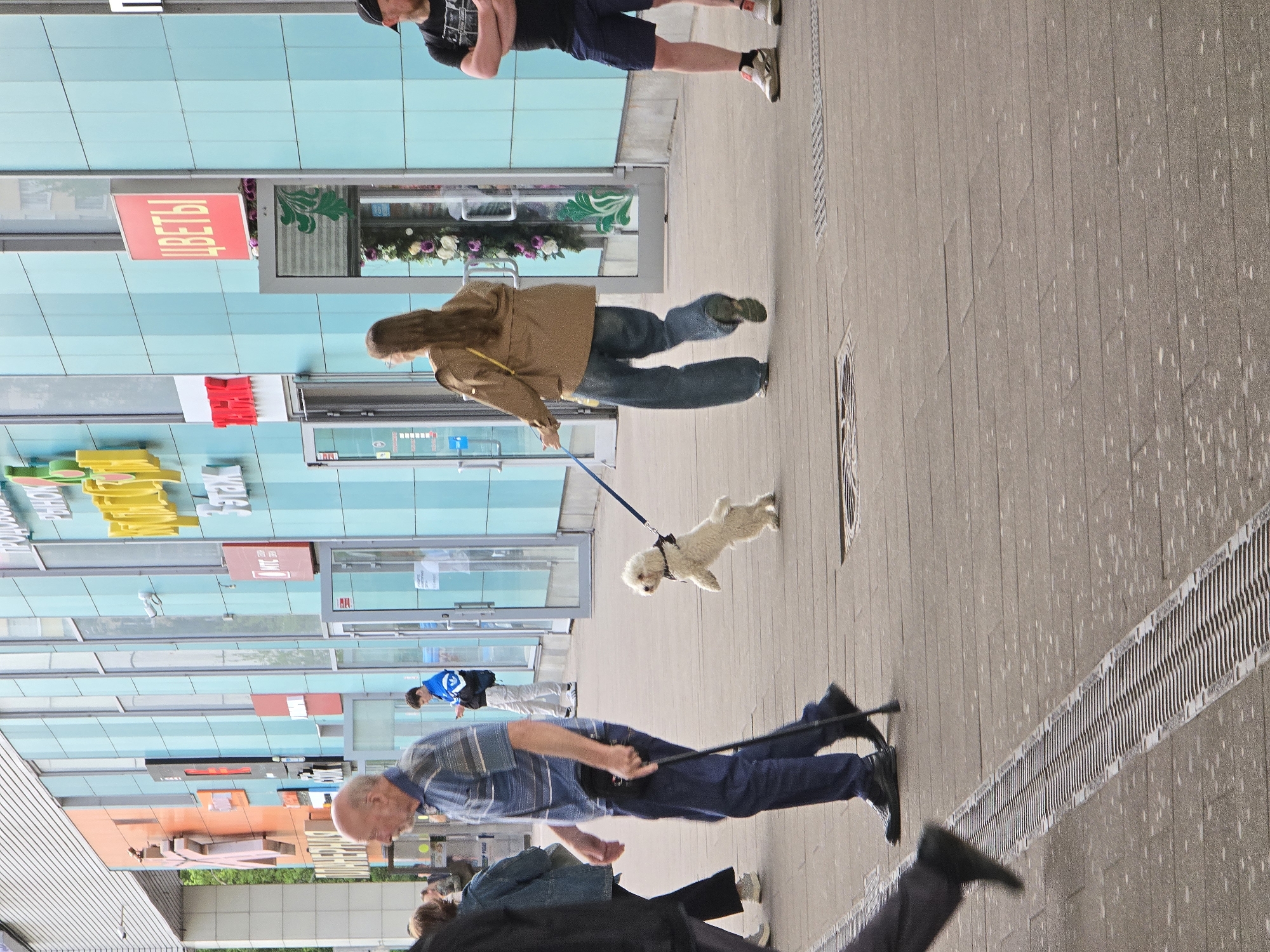The image captures a street scene in Khimki, Russia, with several pedestrians walking in front of a modern building with a glass facade. A woman in a brown jacket walks a small white dog on a leash. An elderly man in a blue shirt walks with a cane. Another person in a blue jacket is seen in the background. A man in a black shirt and shorts stands near a storefront. Storefront signs in Russian are visible. The building is multi-colored, with blue, yellow, orange, and red panels. The sidewalk is concrete with drainage grates.