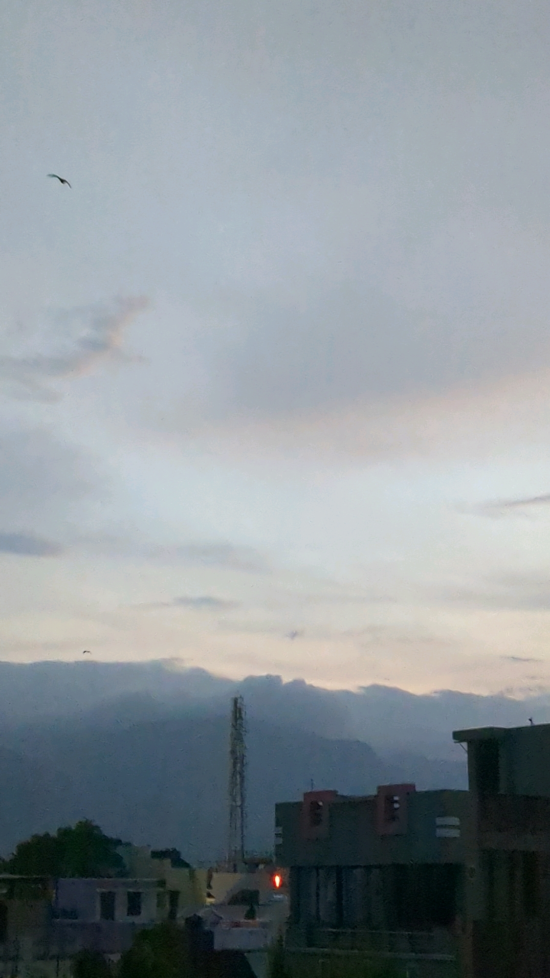 The image captures a view from a rooftop in Tenkasi, India, at dusk. The sky is overcast with soft, diffused light, tinged with pale pinks and blues. A single bird is silhouetted against the lighter portion of the sky in the upper left quadrant. In the middle ground, rolling hills are obscured by dark, dense clouds, creating a dramatic contrast with the brighter sky above. A tall, metallic telecommunications tower stands prominently in the center of the frame, with its lattice structure visible. Below the tower, a building with a dark facade is visible, featuring distinct red accents above its windows. A small, red light is illuminated on the side of this building, likely a navigational warning light. Other buildings with muted colors and vegetation are visible in the lower portion of the image, suggesting a residential or mixed-use urban area. The overall impression is one of a tranquil evening in a city nestled amongst natural landscapes, with human infrastructure integrated into the scene.