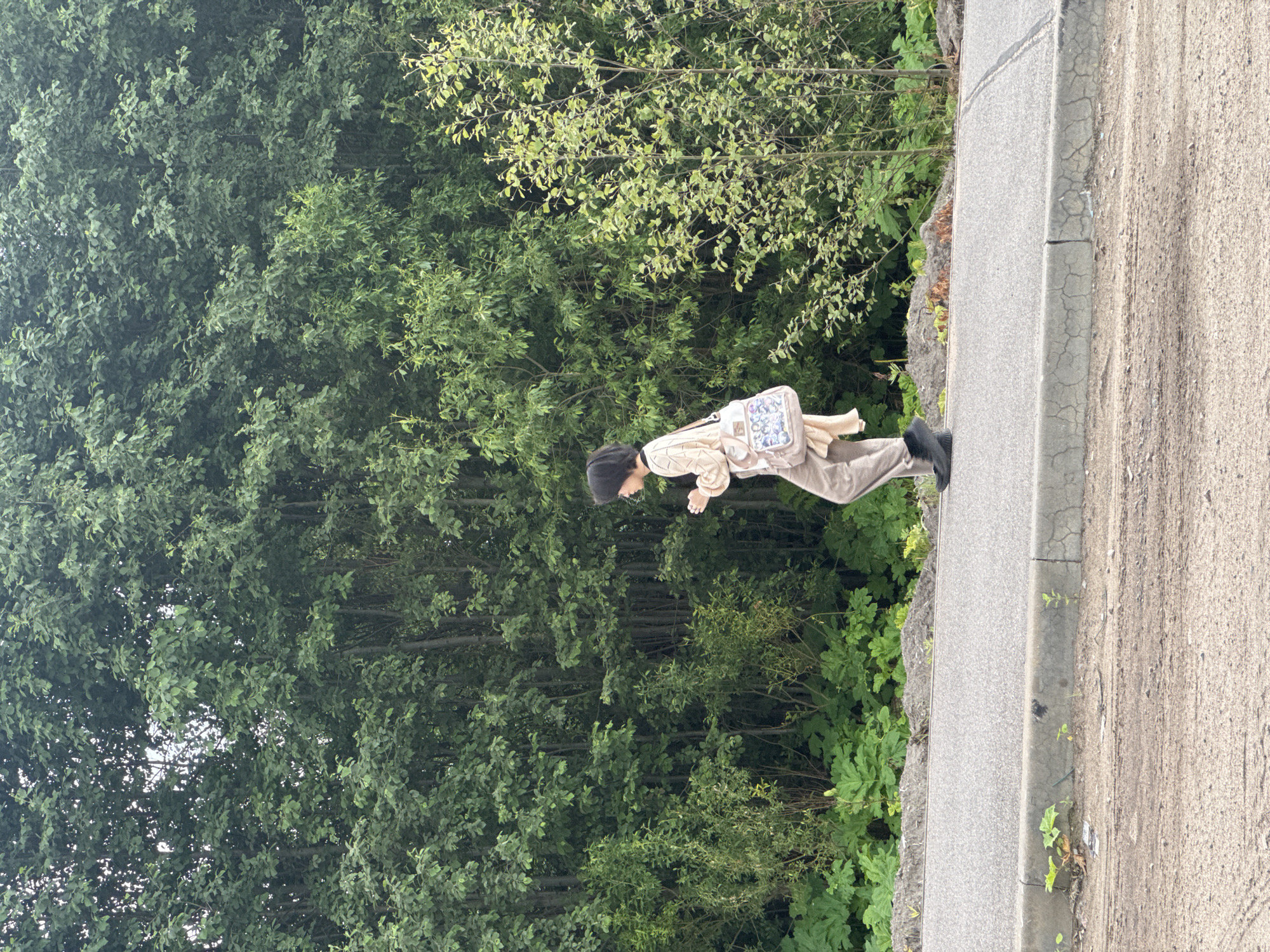 The image shows a young person, likely a child or teenager, walking along a paved path. The person is wearing a light-colored jacket, brown pants, a black beanie, and black shoes. They are carrying a light-colored bag with a pattern over their shoulder. The path is bordered by lush green foliage, primarily trees and bushes, on one side and a dirt or gravel surface on the other. The sun appears to be shining, casting some shadows. The setting suggests an outdoor environment, possibly a park or a roadside with ample greenery. The person's posture and the way they are looking down might indicate concentration or observation of something on the ground. The overall impression is one of a casual walk in a natural, well-maintained outdoor space. There is no visible text in the image.