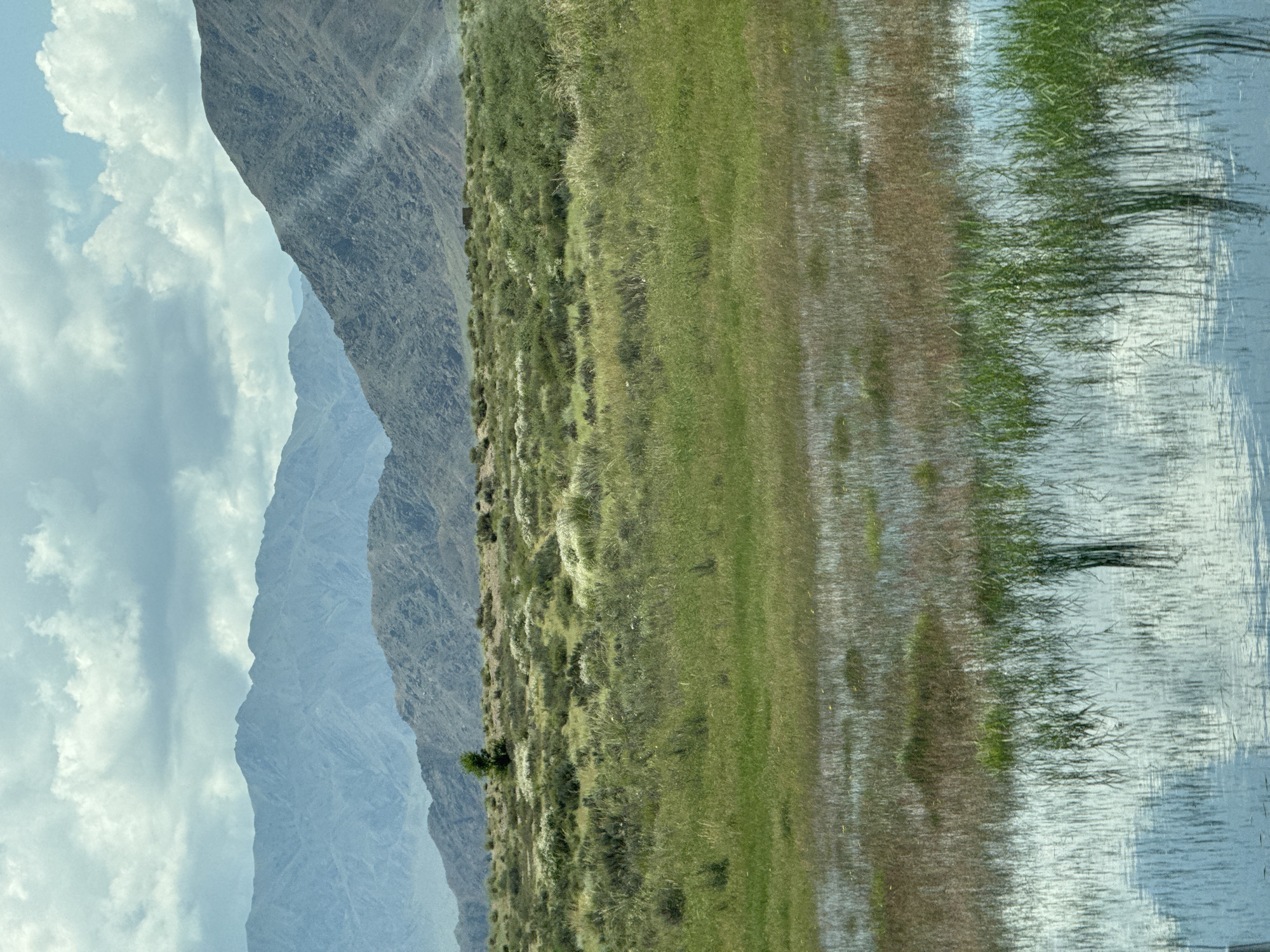 The image depicts a scenic landscape with mountains in the background and a body of water in the foreground. The mountains are layered, with the furthest range appearing hazy blue and the closer ones a muted gray-green. The middle ground consists of dry, scrubby vegetation dotted with patches of white flowers, characteristic of a steppe environment. A single green tree stands solitary amidst this vegetation. The foreground is dominated by shallow water, reflecting the sky and the surrounding vegetation. Reeds and grasses grow from the water. The sky is partly cloudy, with patches of blue sky visible through dramatic, textured clouds. Sunbeams are visible breaking through the clouds and illuminating a section of the mountain slope on the right. The overall impression is one of natural beauty and tranquility.
