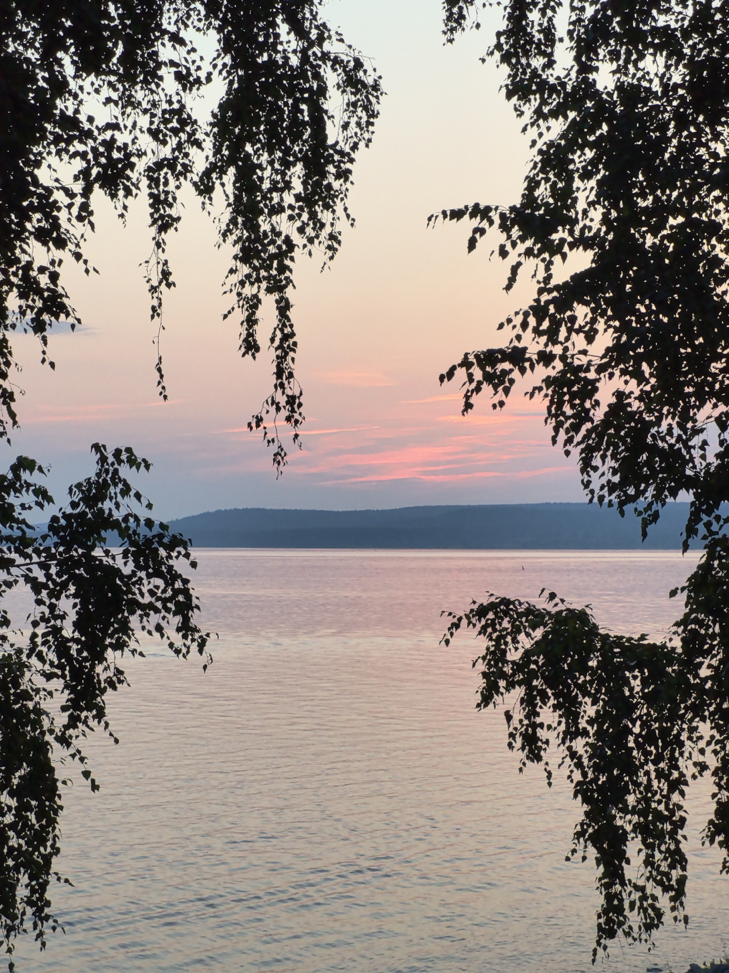 This image depicts a serene natural scene, likely captured in the city of Osa, Russia, during a sunset or sunrise. The foreground is dominated by the silhouettes of birch tree branches with numerous leaves, framing the view. These branches are dark and detailed against the softer hues of the sky.
The middle ground features a body of water, likely a lake or a wide river, reflecting the colors of the sky. The water's surface shows gentle ripples, creating a textured pattern. In the distance, a dark, hazy silhouette of a hill or a treeline forms the horizon.
The sky displays a gradient of soft colors, transitioning from a pale blue at the top to delicate shades of pink and peach closer to the horizon, with thin, wispy clouds streaked across. The overall atmosphere is peaceful and tranquil. No people or specific man-made structures are visible, emphasizing the natural beauty of the environment.