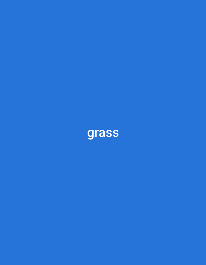 This media file features a solid, vibrant blue background with the word "grass" written in white, centered text. There are no people, objects, or discernible scene elements beyond the text and background. The activity, if any, is simply the presentation of the word "grass." There are no notable details regarding time of day, weather, or location cues within the image itself. The only visible text is the word "grass." The provided location context "Jauro Sent, Nigeria" is not visually represented in the image.