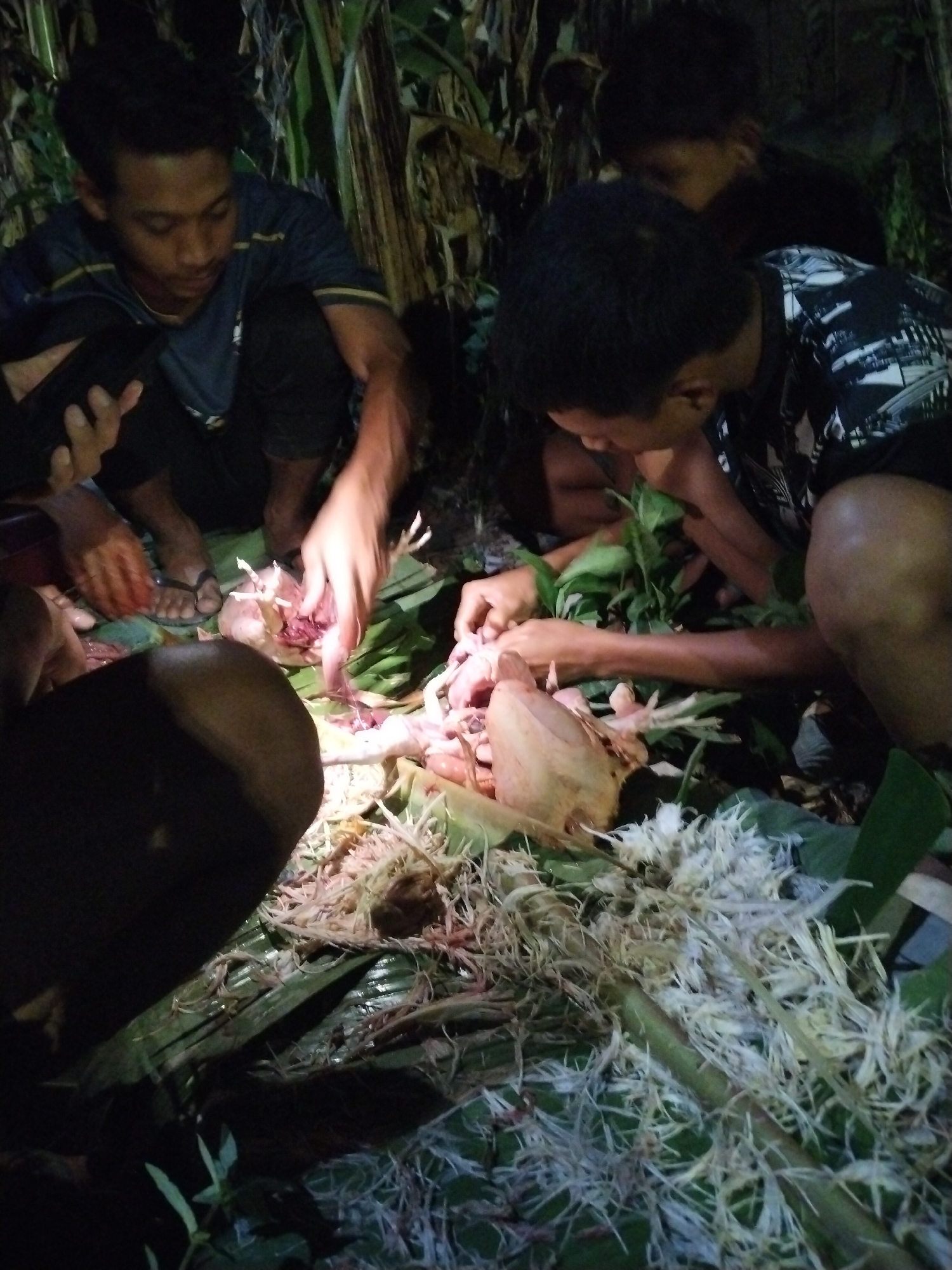 In a dimly lit outdoor environment with dense vegetation, four individuals are gathered around a collection of raw chickens laid out on large green leaves. The individuals, appearing to be young men, are actively engaged in preparing the chickens. One person is holding a chicken, exposing its interior, while another is seen with hands working on a chicken carcass. The chickens themselves are partially processed, with some internal organs visible. The scene is rustic, with natural foliage forming the backdrop and serving as a surface for the preparation. The overall impression is one of a communal food preparation activity in a natural, possibly rural, setting.