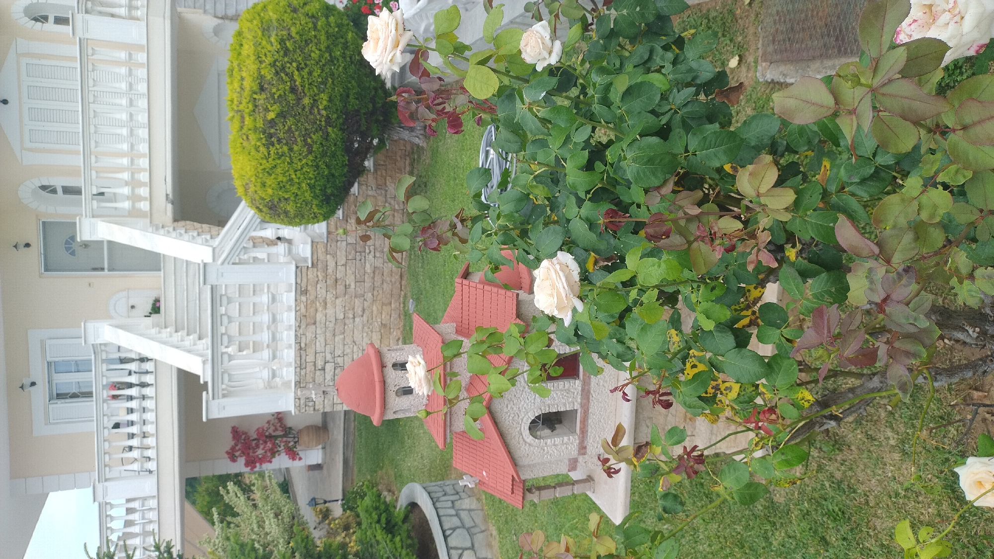 In the foreground of the image, a miniature replica of a church with a red tiled roof and a dome is visible. The church is adorned with a small cross on its roof. Several light-colored roses are blooming in front of and around the church replica. The background features a multi-story building with white railings and stone accents. To the right, a large, rounded green bush is present, and to the left, a potted plant with red leaves sits near a stone wall. The scene is set in a garden with green grass. The location is identified as Νέα Κερασιά, Greece. There are no people or animals visible in the image.