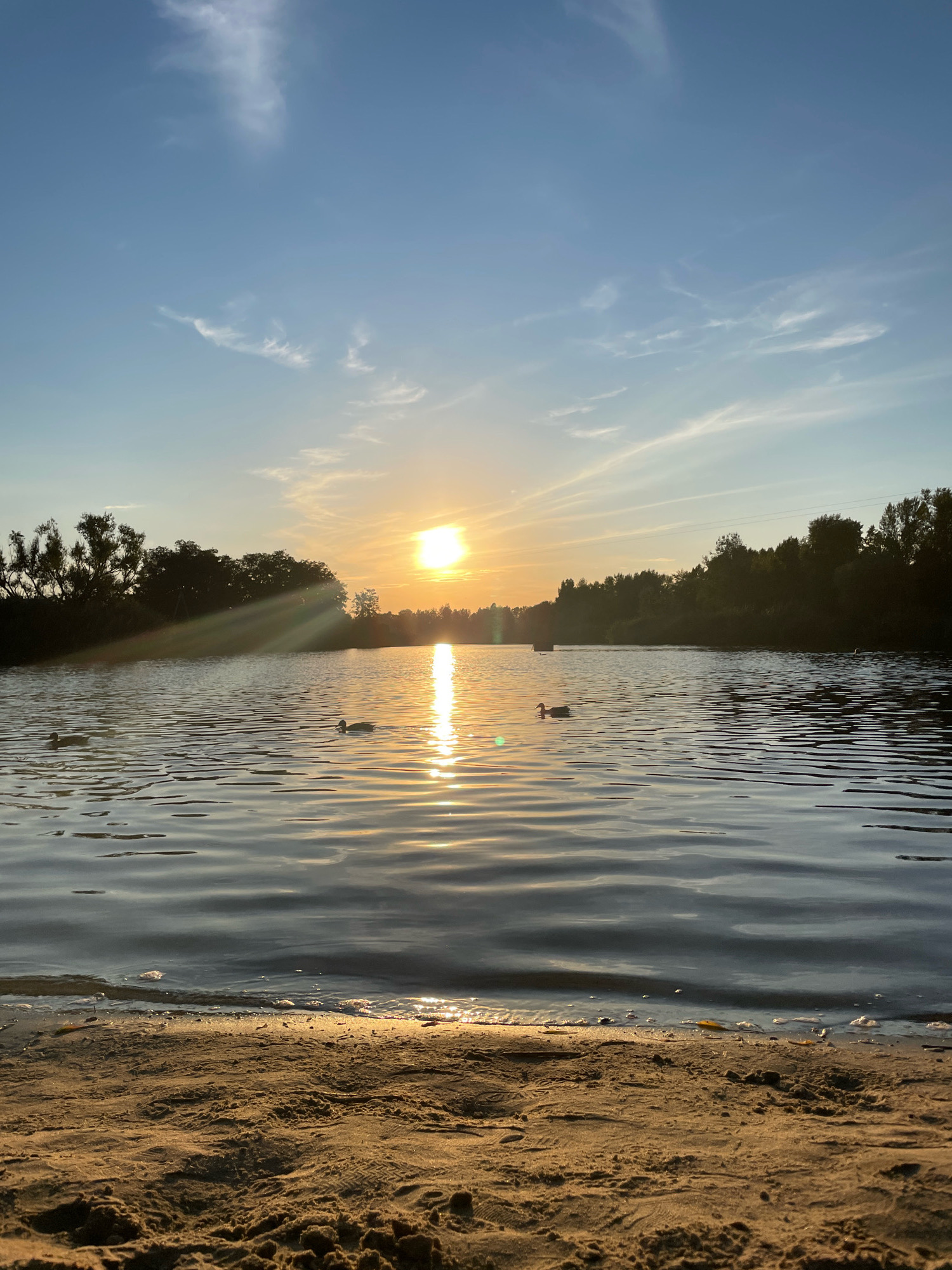 The image depicts a serene sunset over a body of water, likely a lake or river, with a sandy shoreline in the foreground. The sun, a bright orb near the horizon, casts a shimmering reflection across the rippling surface of the water. Wispy clouds dot the pale blue sky. Silhouetted trees form a dark line along the far bank of the water. Two ducks are visible swimming in the water, one closer to the shore and another further out. The sand in the foreground is textured with footprints and small indentations. The scene evokes a sense of tranquility and natural beauty. The location is identified as the city of Kremenchuk, Ukraine, suggesting this is a natural landscape within or near the city.