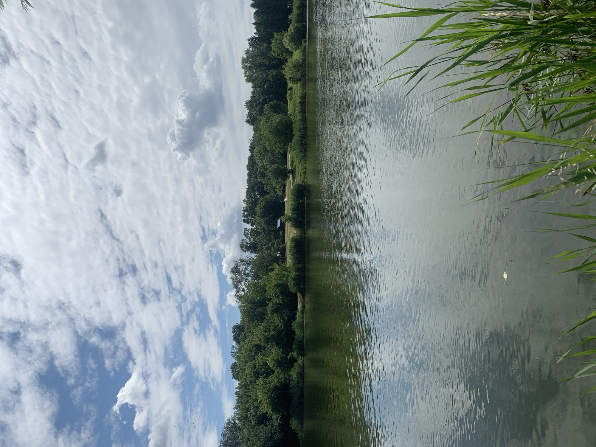 The image depicts a serene natural landscape, likely a park or a waterfront area in or near Dondușeni, Moldova. A calm body of water, possibly a lake or a slow-moving river, dominates the foreground, reflecting the sky and the tree line. The water's surface is disturbed by subtle ripples, suggesting a gentle breeze. In the middle ground, a dense, lush green forest lines the far bank of the water, with a small, dark-colored structure, possibly a shed or a small building, visible amidst the trees on the right side of the frame. The sky above is a mixture of blue and white clouds, with some clouds appearing more dramatic and textured. Tall, green grass and reeds grow along the bottom right edge of the image, adding a touch of wildness to the scene. The overall impression is one of tranquility and natural beauty.