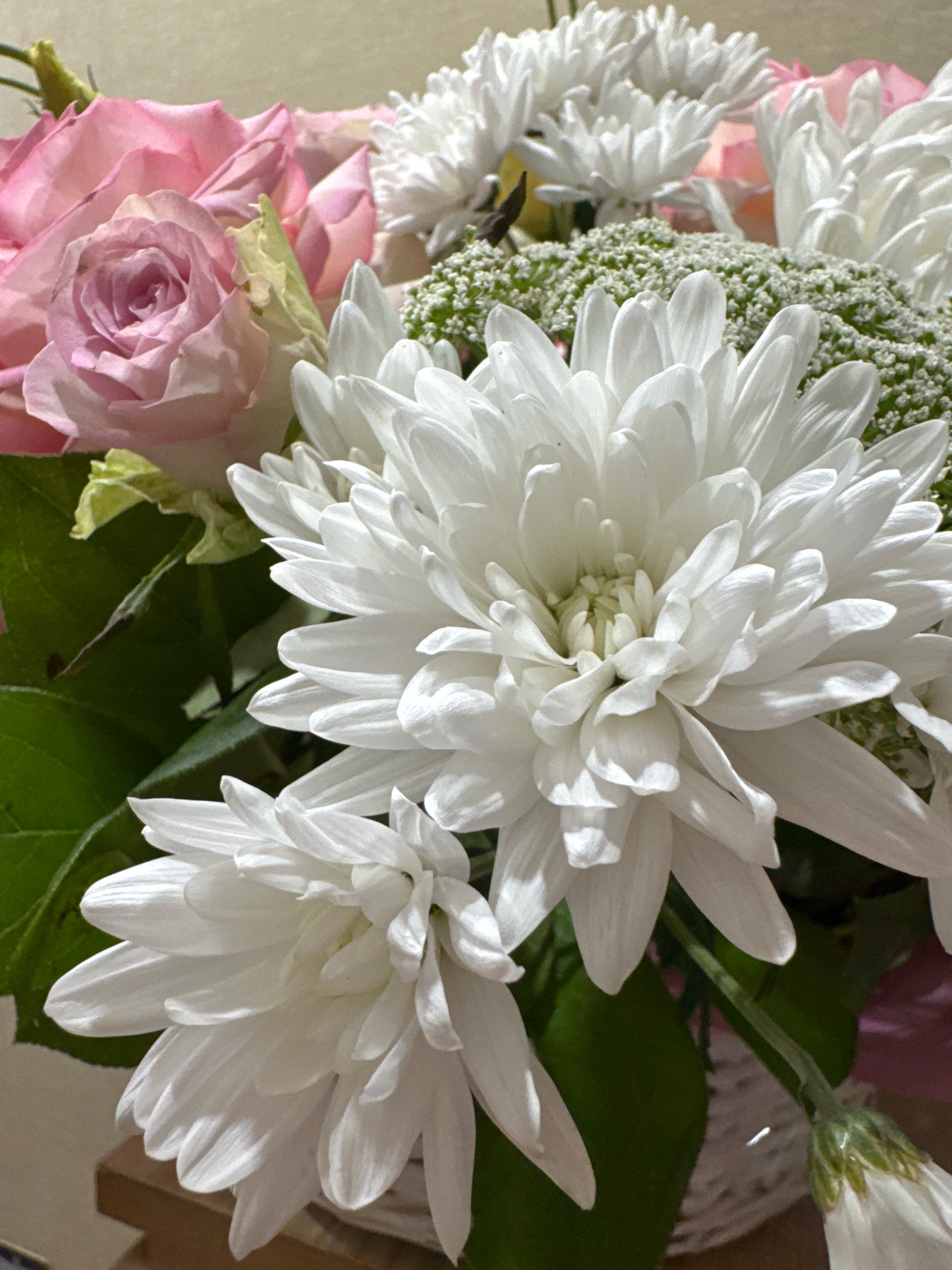 A close-up shot captures a bouquet of flowers, predominantly white chrysanthemums and a soft pink rose. The chrysanthemums, with their delicate, layered petals, are the most prominent subjects, filling the foreground and midground. Their pristine white color is accentuated by soft lighting, creating subtle shadows that highlight their intricate forms. Behind them, a pink rose is partially visible, its petals unfurling gently. The rose's blush hue offers a soft contrast to the stark white of the chrysanthemums. Small, clustered green filler flowers, possibly baby's breath or similar, are interspersed among the larger blooms, adding texture and depth. The background is a blurred, neutral tone, suggesting an indoor setting without any distinct environmental features of Захарьино, Russia. No people are present in the image.