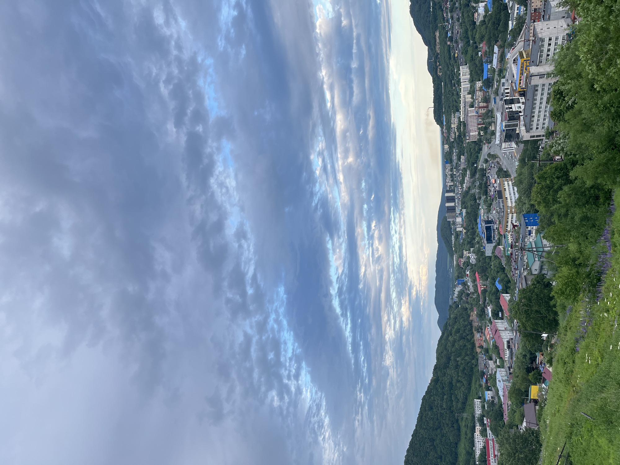 This is an aerial, high-angle, eye-level medium shot of a city nestled within a valley, with lush green hillsides on either side. The city features a mix of modern and older buildings, including apartment complexes and some smaller structures. Roads with visible traffic snake through the urban landscape. The sky above is filled with dramatic, layered clouds in shades of gray and blue, with patches of lighter sky peeking through. The foreground shows a grassy slope dotted with wildflowers. The scene appears to be Petroplavlovsk-Kamchatsky, Russia, given the topography of steep hills surrounding a settlement and the presence of tall, block-like apartment buildings common in post-Soviet cities. The overall atmosphere is slightly overcast, suggesting it is either early morning or late afternoon. There are no people or animals clearly visible in the image.