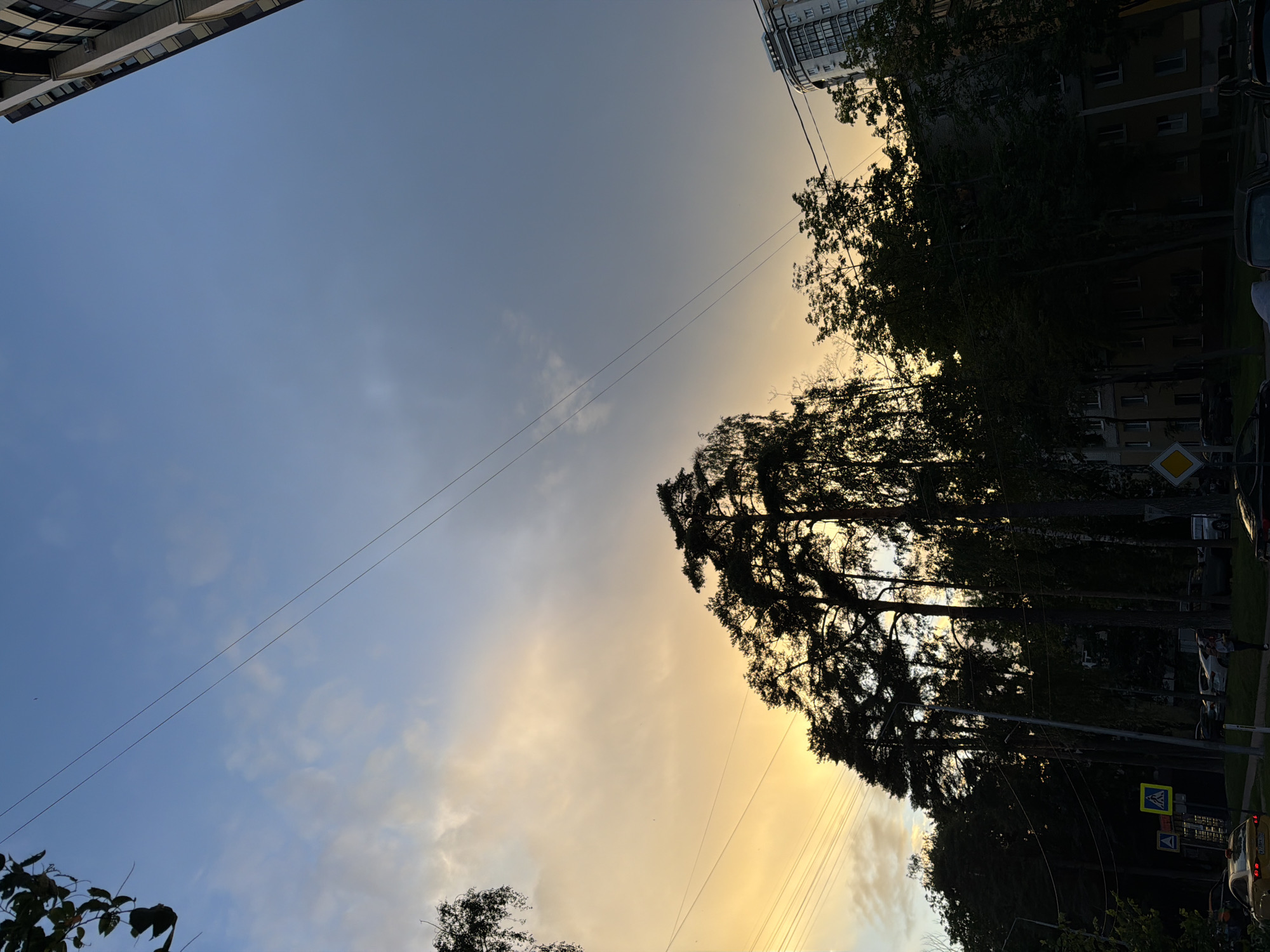 The image captures a street scene at dusk in an urban environment, likely in a residential area. Tall, silhouetted trees dominate the foreground, their dark foliage contrasting with the warm, golden hues of the sunset sky. The sky is a gradient, shifting from bright yellow and orange near the horizon to a deep blue overhead. Several power lines crisscross the frame. To the right, a modern apartment building with multiple windows rises, its architecture modern. On the street level, parked cars are visible, along with street signs and traffic lights. A single pedestrian is walking on the sidewalk. The overall atmosphere is one of an urban evening winding down.