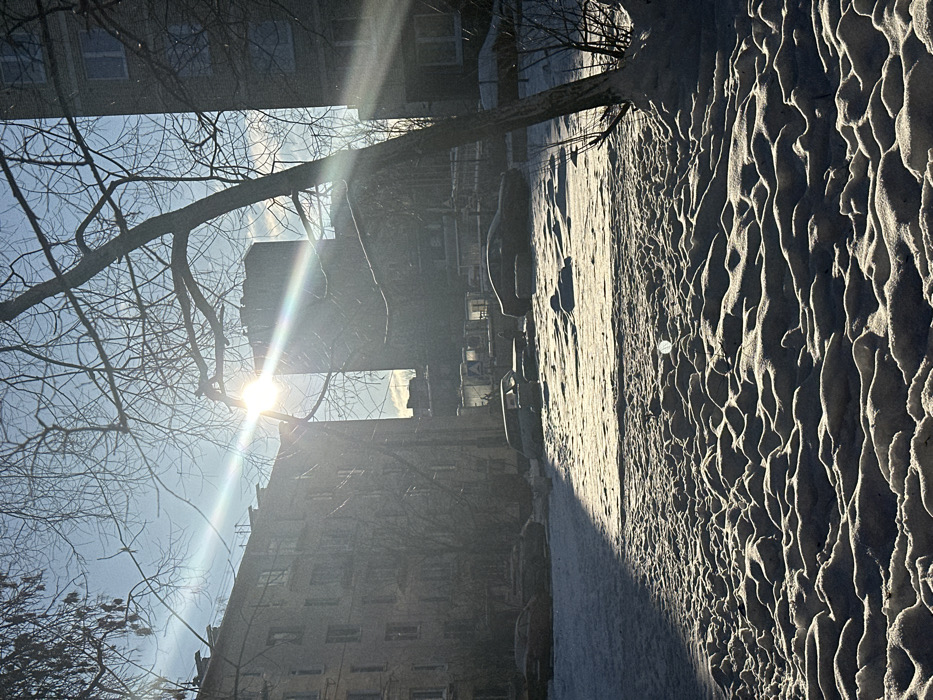 The image depicts a snow-covered urban landscape in Saint Petersburg, Russia, under bright sunlight. The foreground features undulating snow, casting defined shadows from a low sun. A bare deciduous tree, angled to the right, dominates the right mid-ground. Beyond the tree and undulating snow, a level, snow-covered area contains several parked automobiles, including at least one dark sedan and a light-colored station wagon, all partially obscured by snow accumulation. In the background, multiple multi-story residential buildings are visible: a darker, older-style building with numerous windows on the left, and a taller, more modern structure centrally positioned. The sun, located in the upper-center, emits strong light, causing lens flare and long shadows across the snowy ground. The sky is clear and bright blue. No individuals are present.