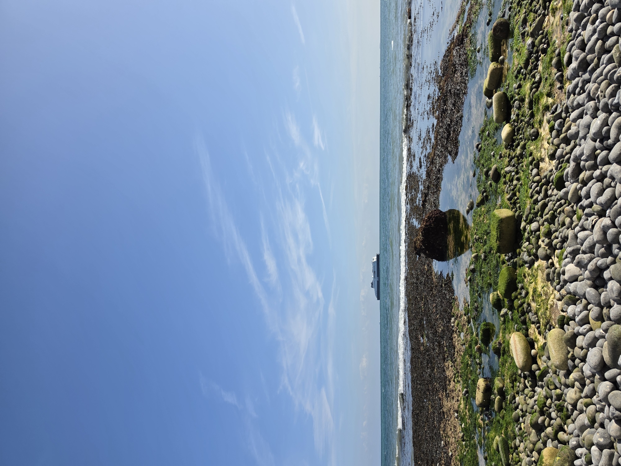 A ferry, identified by its white hull and blue superstructure, sails on a calm, blue sea under a clear sky dotted with wispy white clouds. The foreground of the image is a rocky beach covered with smooth, grey pebbles and patches of vibrant green seaweed. Several larger, moss-covered stones are scattered amongst the smaller pebbles, and shallow pools of water reflect the sky. The sea meets the shore with gentle waves. The scene appears to be located along the coast of Dover, United Kingdom, given the presence of ferries commonly operating in the area. No people are visible in the frame.