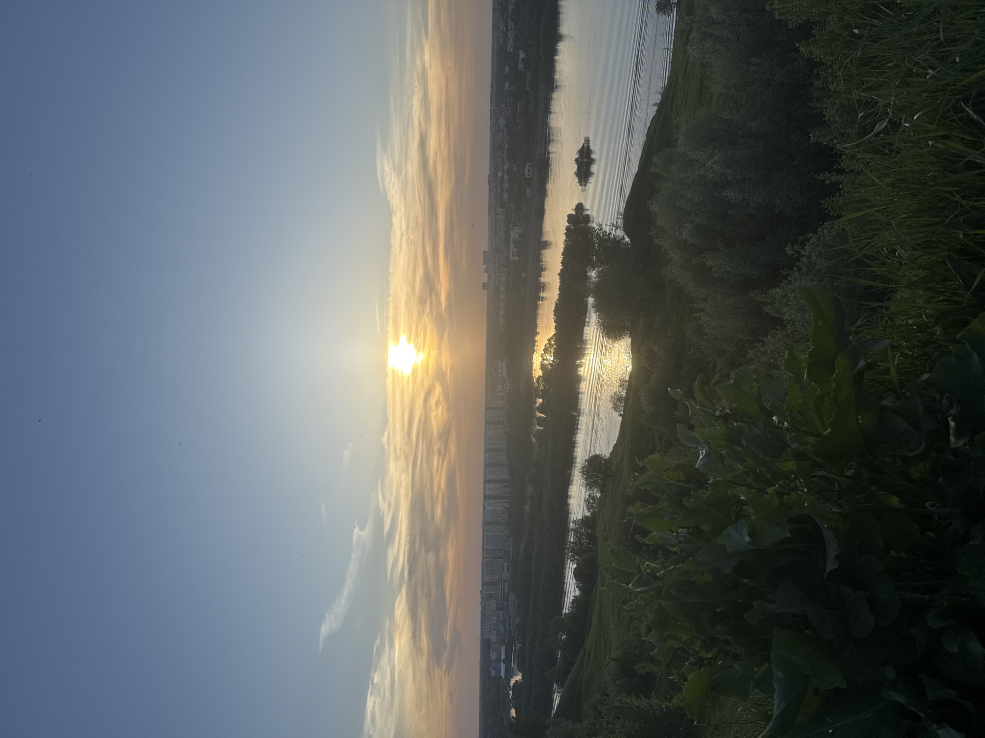 Here's a description of the image:
The image captures a panoramic view at sunset in Nizhny Novgorod, Russia, likely from a high vantage point. A wide river runs through the scene, reflecting the setting sun and sky. On the opposite bank is a dense urban landscape with residential buildings. The foreground has greenery and bushes, adding depth to the image. The sky is a mix of blue and orange hues due to the sunset.