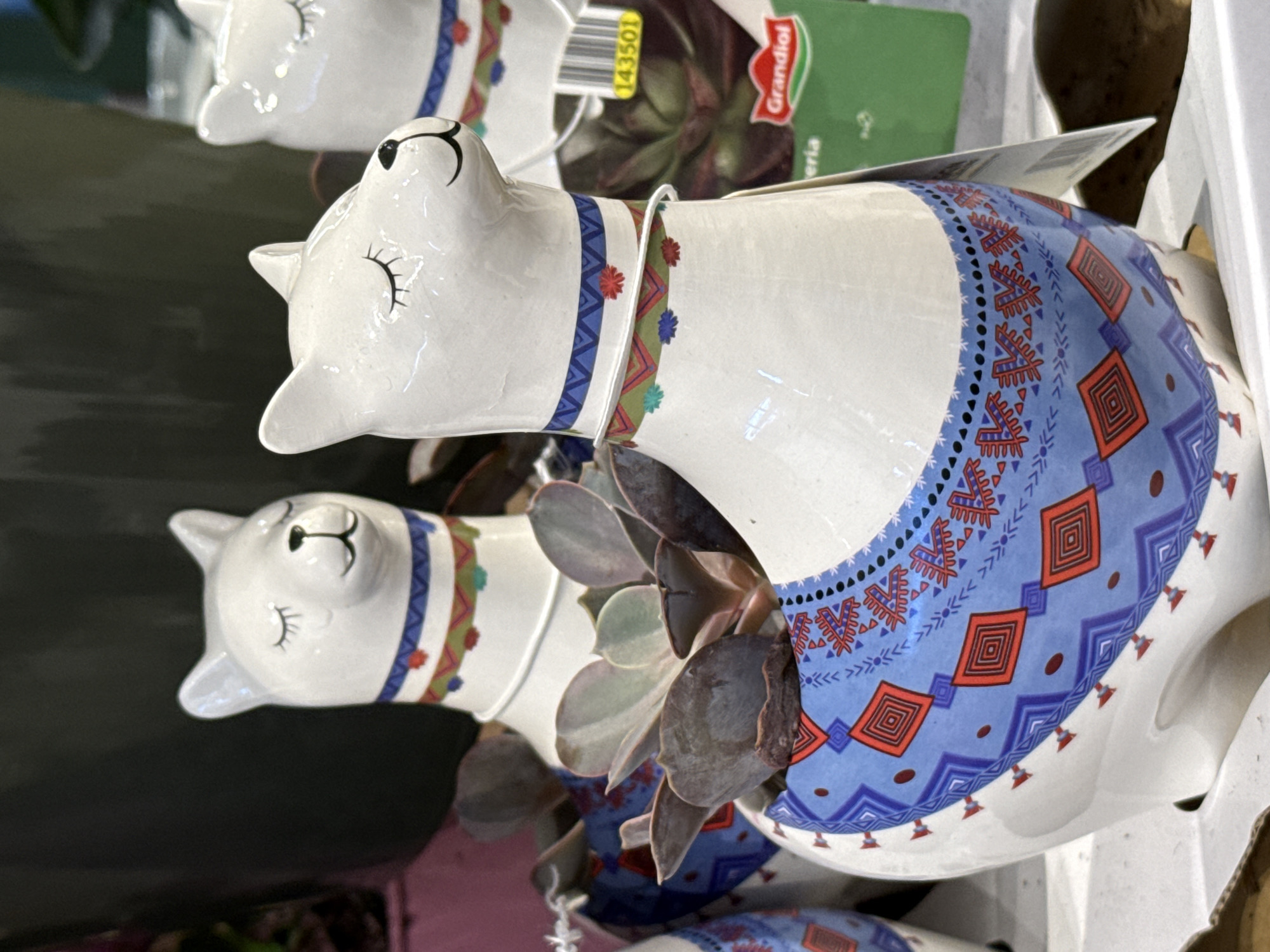 The image shows a close-up of several white ceramic llama-shaped planters, each holding a succulent plant. The planters are decorated with colorful, geometric patterns. The llama in the foreground is the most detailed, with a blue and red pattern around its body and a blue and green patterned collar. The succulent in this planter has thick, purple-tinged leaves. In the background, two other llama planters are visible, with similar closed-eye expressions and decorative collars. A label with the word "Grandiose" and a barcode is attached to the planter on the right. The planters appear to be displayed on a white surface, possibly a shelf or display stand in a store. The lighting is bright, highlighting the glossy finish of the ceramic. The scene is indoors, likely a garden center or a home decor shop, and the specific location in the city of Bad Lauterberg im Harz, Germany, is not determinable from the visual evidence presented.