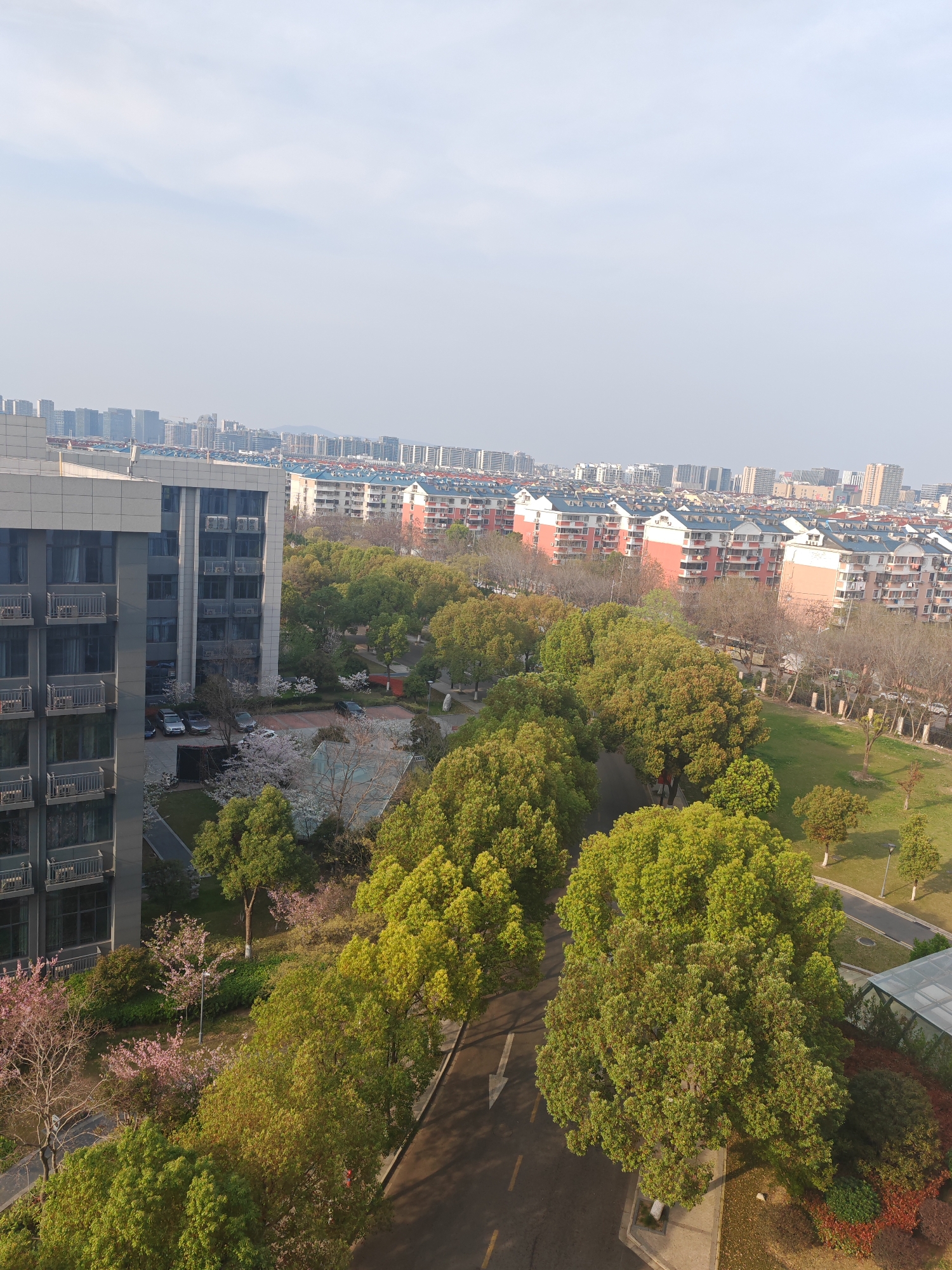 A high-angle, daytime photograph captures a cityscape within Jiangning District, China.
In the foreground, a modern, multi-story building with balconies dominates the left side. Trees with varying shades of green and some with pink blossoms line a road, creating a verdant midground. A parking lot with several parked cars is nestled near the base of the building.
Beyond the trees, rows of residential buildings with red brick facades and blue roofs stretch across the landscape, diminishing in size with distance. Further in the background, high-rise buildings form the skyline of the city. The sky is overcast.