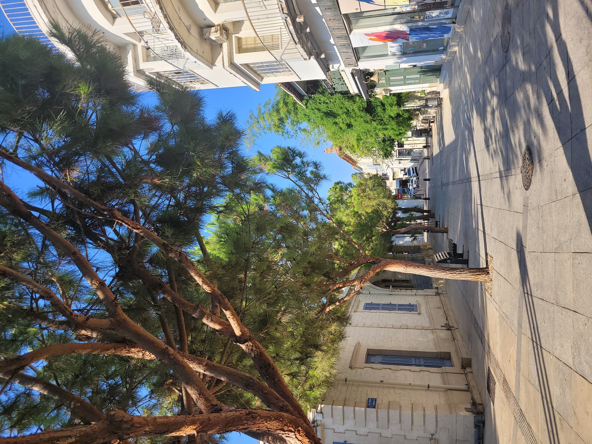 This is a photograph taken on a sunny day in Limassol, Cyprus, looking down a tree-lined pedestrian street. On the left side of the street, there is a building with a light-colored stone facade, featuring blue doors and shutters. A street sign is visible on the corner of this building. To the right, a white multi-story building with balconies overlooks the street. The street itself is paved with large square tiles, with benches and trees lining the path. Shadows of the trees are cast across the pavement. In the distance, the street appears to continue, with more buildings and trees visible, and a few cars parked. The sky is clear and blue. The overall scene depicts a pleasant urban environment with a strong presence of greenery and architectural elements typical of a Mediterranean city.