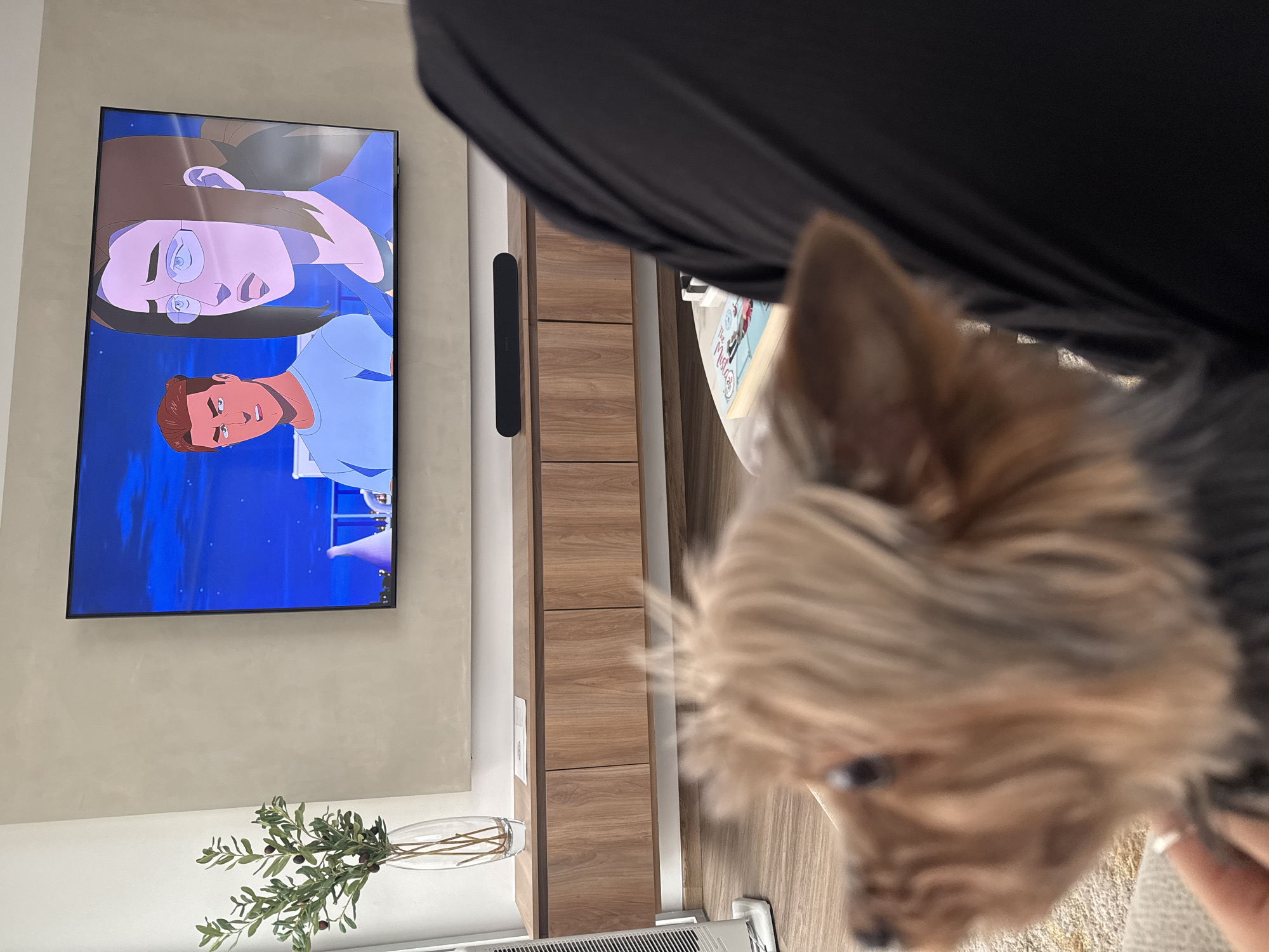 A blurry image depicts a Yorkshire Terrier in the foreground. The dog is positioned on the right, slightly obscuring the view. In the background, a wall-mounted television displays an animated scene with two characters. To the right of the television, there is a wooden cabinet with a dark, vertical object attached to the wall. Below the television, a glass vase containing greenery sits on a surface. The photo's location is specified as San Bernardino Tlaxcalancingo, Mexico.