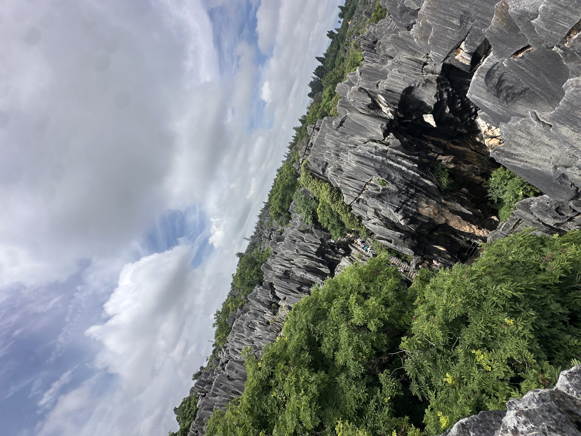 This image depicts the Stone Forest (Shilin) in Kunming, China, a UNESCO World Heritage site renowned for its karst formations. The foreground is dominated by sharp, grey limestone pillars that rise in jagged formations, creating a sense of a natural labyrinth. Lush green vegetation, including dense trees and smaller bushes, grows in and around the rocky landscape, providing a stark contrast to the grey stone. Several people are visible on pathways and staircases carved into the terrain, navigating through the formations. The sky above is partly cloudy with dramatic white clouds against a pale blue background. The overall impression is of a unique geological landscape shaped by millions of years of erosion, visited by tourists.