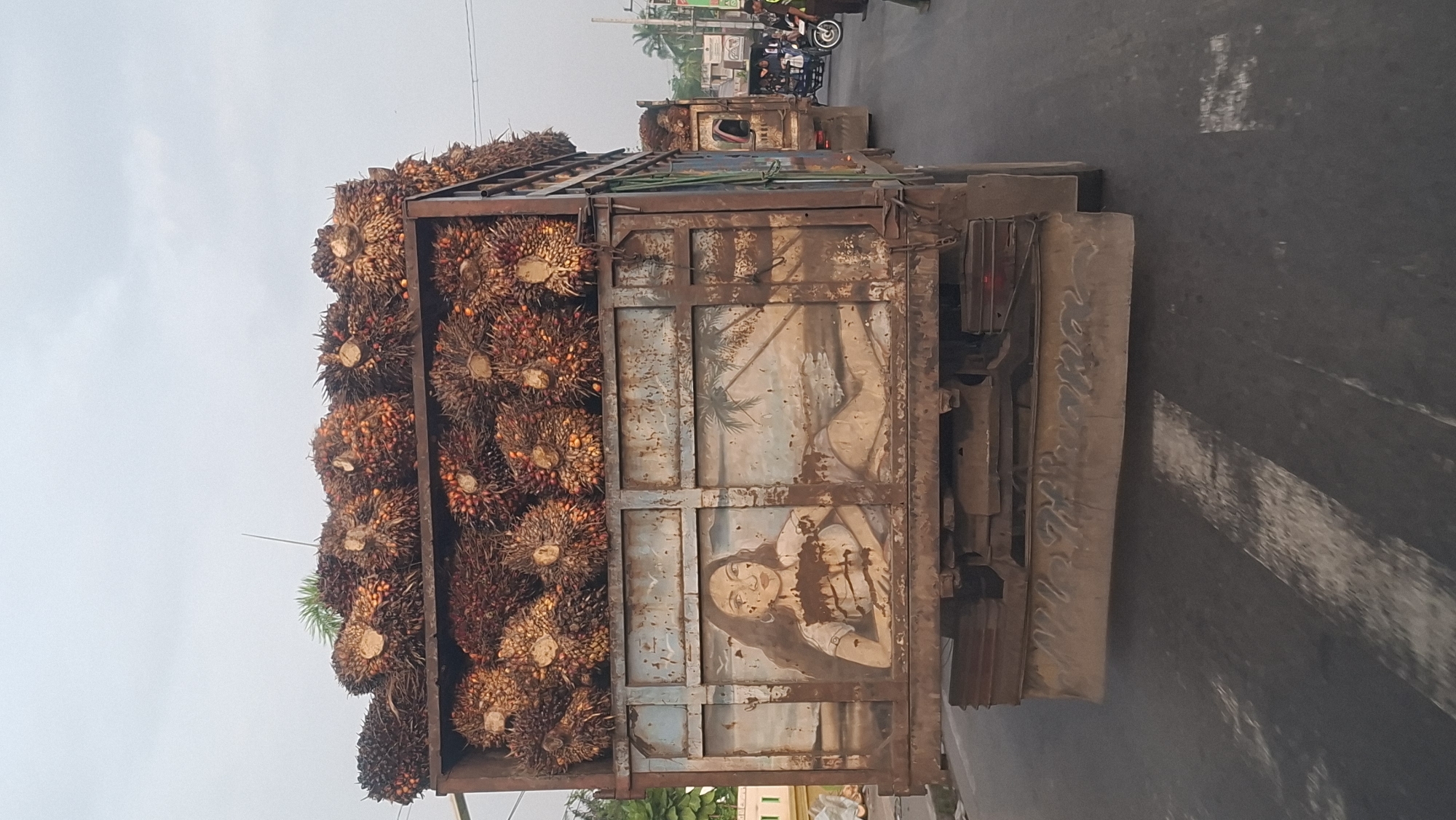 In Tanjung Pura, Indonesia, a rusted truck laden with palm oil fruits is seen driving on a road. The side of the truck features a faded mural of a woman reclining on a beach with palm trees. The truck is part of a convoy of vehicles, including motorcycles and another truck in the background. The sky is overcast, and the road surface shows faint white markings. The scene suggests a daily commute or transport of agricultural goods in the area.