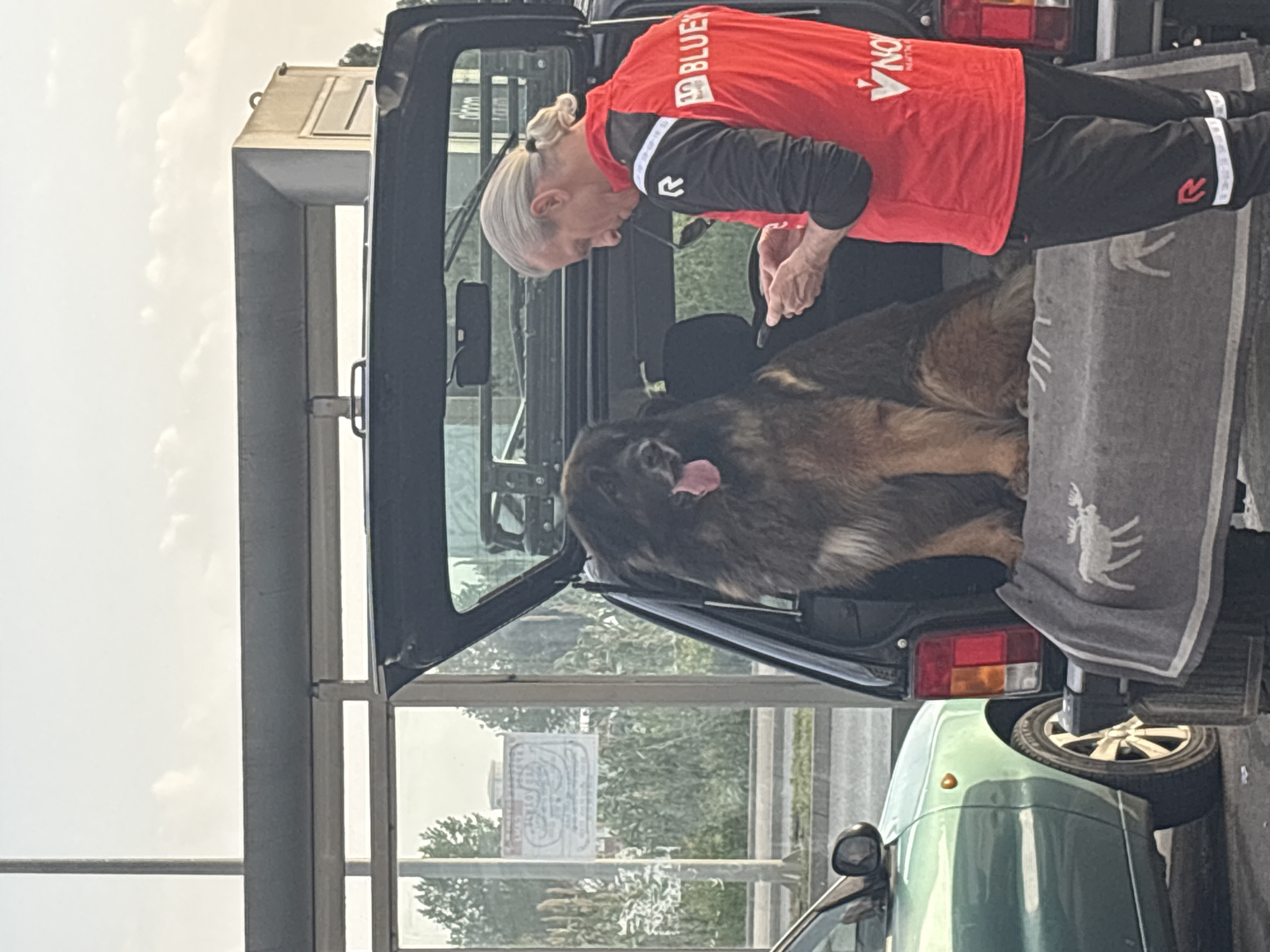 A silver-haired person wearing a red shirt and black pants stands at the open hatch of a black vehicle, attending to a large, brown dog with its tongue hanging out, seated in the vehicle's rear. A gray towel with a white stag image drapes over the edge of the hatch. A green car is parked adjacent to the black vehicle. The scene is outside, with a partially visible sign in the background suggesting the location is in Bar, Montenegro.
