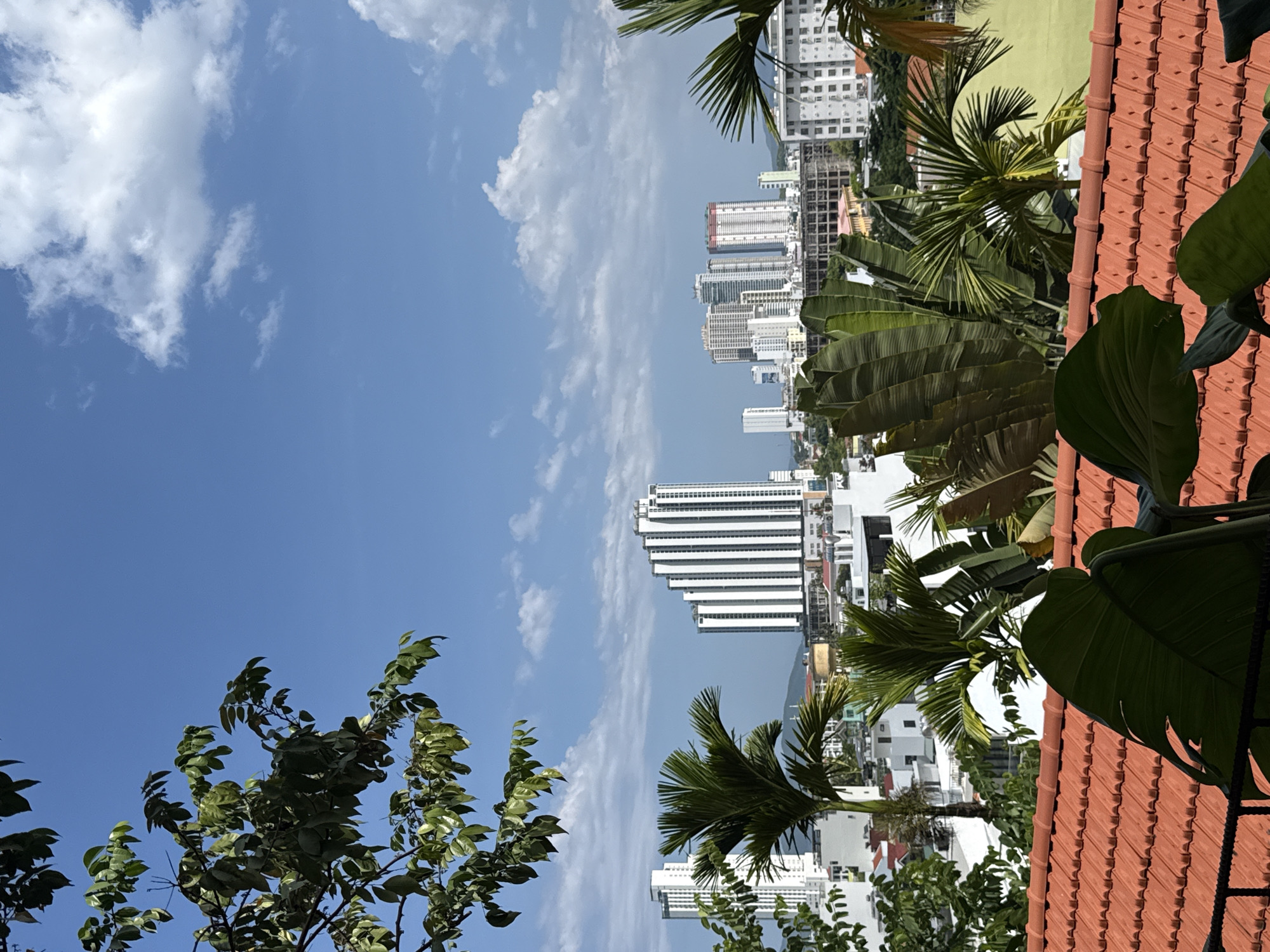 The image depicts a city skyline with a clear blue sky filled with scattered white clouds. Tall, modern buildings, some under construction, dominate the middle ground. In the foreground, a vibrant green tree with numerous leaves and branches is visible on the left. On the right, an orange tiled roof is prominent, with large green leaves of tropical plants peeking over it. The scene is bathed in bright sunlight, suggesting a clear day, likely midday. The presence of palm trees and the architectural style of the buildings hint at a tropical or subtropical coastal city, consistent with Nha Trang, Vietnam. There is no discernible activity or people in the frame, creating a serene, somewhat elevated view of the urban landscape and its surrounding vegetation. The image is oriented vertically, with the sky occupying the upper left portion and the cityscape and vegetation filling the rest.