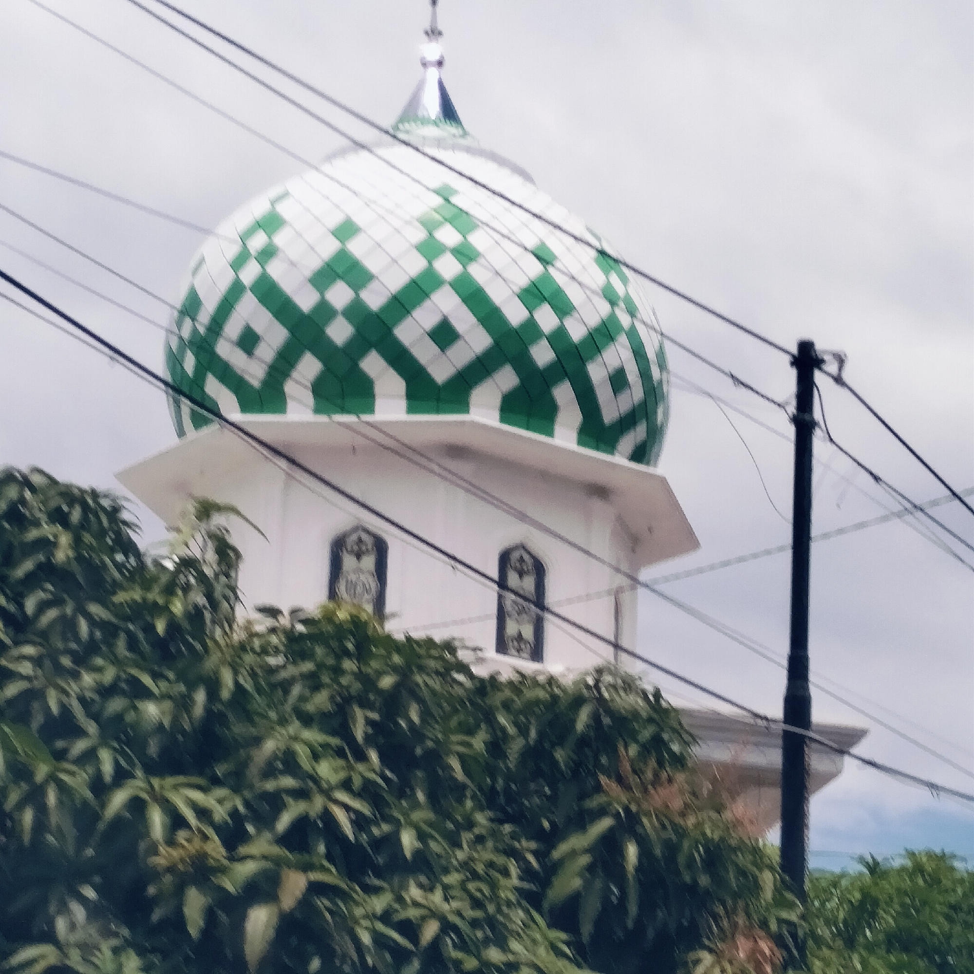 This image captures a close-up view of the upper section of a mosque, dominated by its distinctive dome. The dome features a vibrant geometric pattern of green and white squares, and is topped with a slender, metallic finial. Below the dome, a white building section of the mosque is visible, showcasing two arched windows with dark frames and intricate detailing.
In the foreground and lower part of the image, a dense mass of green foliage, likely from trees or bushes, partially obscures the base of the mosque structure. Several dark utility wires crisscross the frame, adding to the visual complexity, with a black utility pole standing prominently on the right side of the image. The sky above is overcast, suggesting a cloudy day, and no direct sunlight is apparent. The scene is static, depicting the architecture and surrounding environment without any human activity. No text is visible. The architectural style and lush vegetation are consistent with the provided location context of Pandrahkandeh, Indonesia.