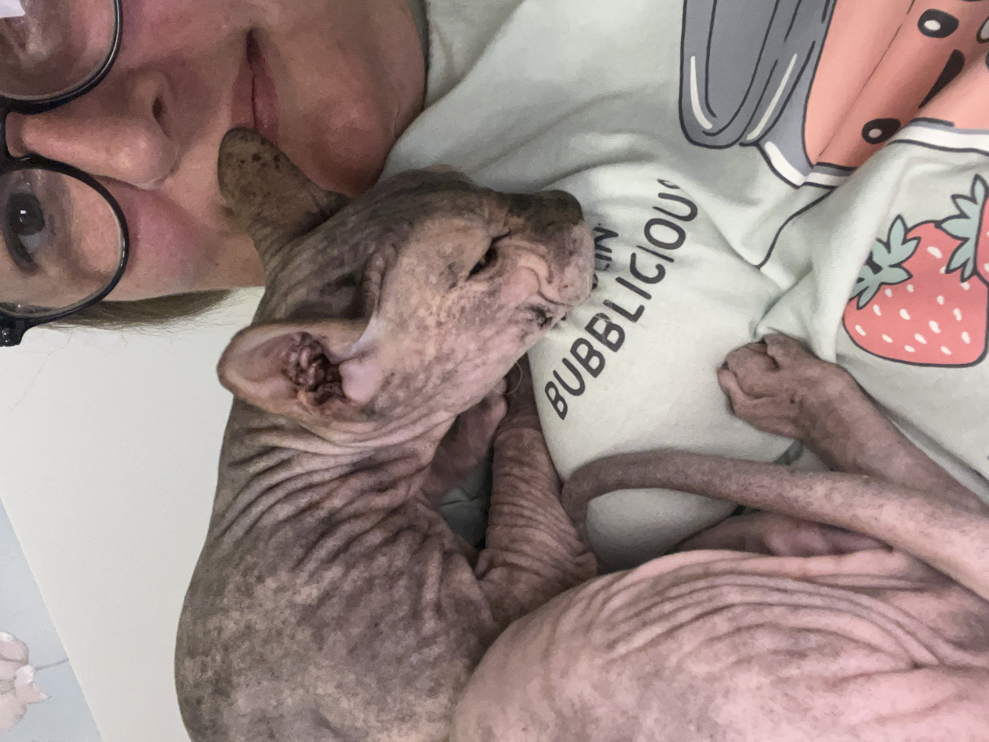 A person wearing glasses and a light green t-shirt with cartoon strawberries and a jar of what appears to be bubble tea is holding a pinkish-grey Sphynx cat. The cat is nuzzling the person's face, with its head resting on the person's chest and its paw touching the person's lips. The cat's skin is wrinkled, and its ears are large and pointed. The background is blurred and appears to be indoors, with a pale wall and some light-colored floral wallpaper. There is no visible indication of the city of Korolyov, Russia in the image.