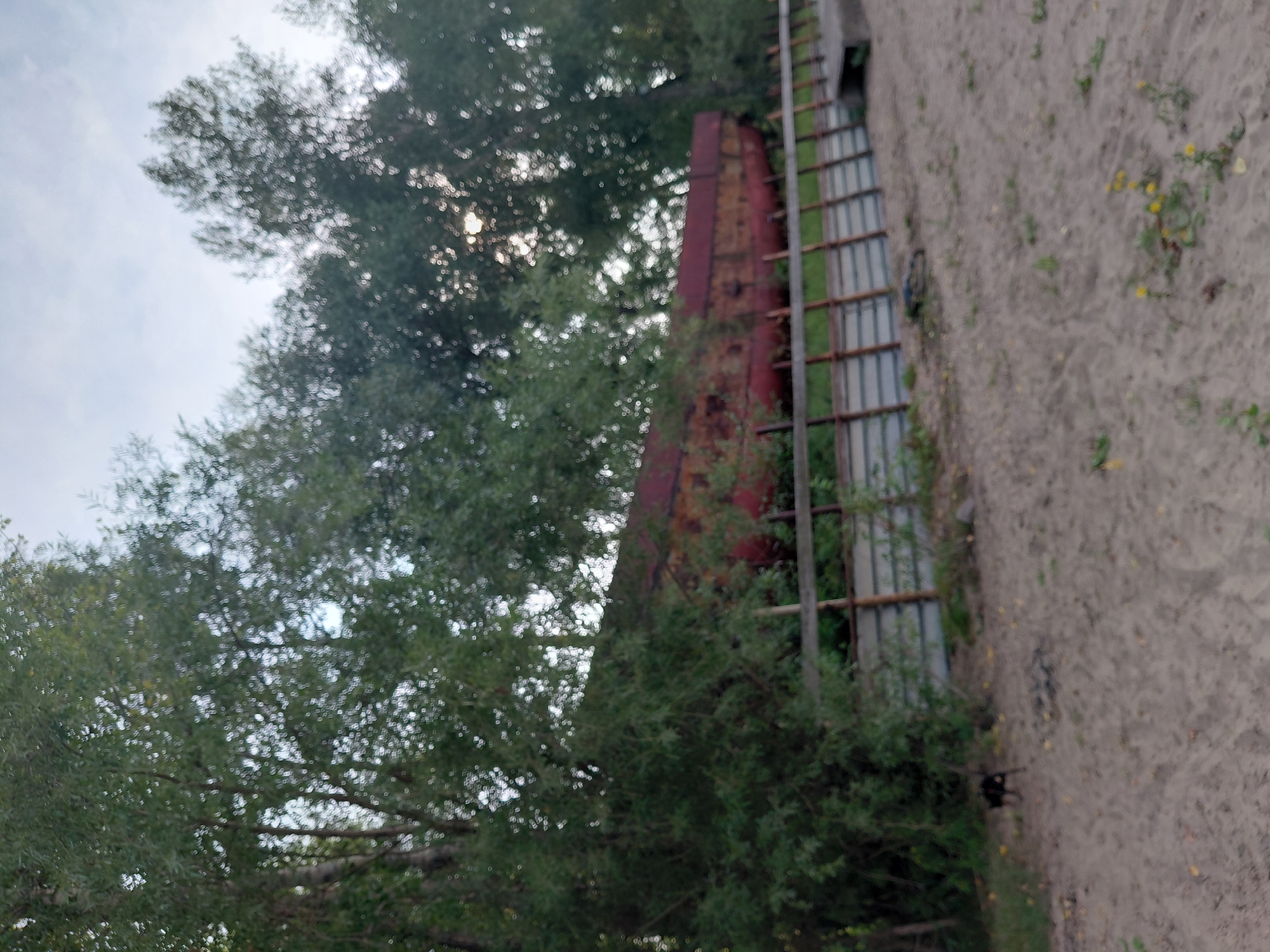 The image depicts an outdoor scene with dense foliage on the left side and a rusty, red, elongated structure, possibly a ship's hull, situated behind a wooden fence. The ground appears to be sandy or dirt. In the lower left quadrant of the image, a small black dog is visible, standing on the sandy ground. The sky above is overcast with a light gray hue. The scene is likely a park or an area near a body of water, given the presence of trees and the watercraft-like structure. This specific location is in Novosibirsk, Russia, along the Ob River, a common place for decommissioned vessels to be left.