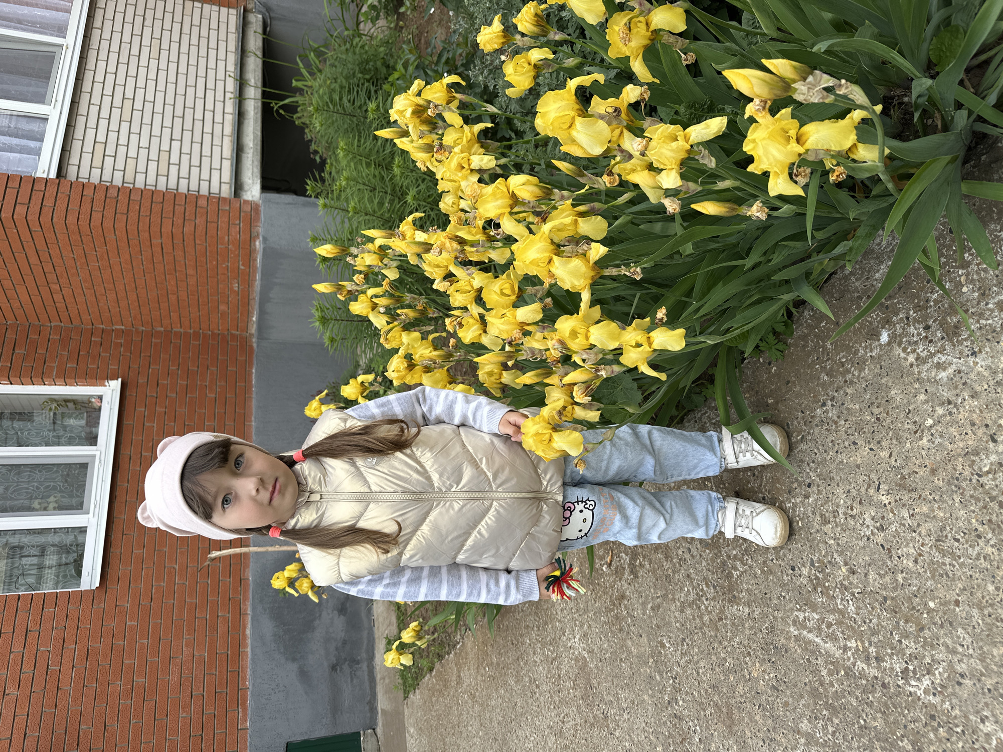 A young girl stands on a concrete path next to a bed of bright yellow irises. She is wearing a light pink hat with bear ears, a gold puffer vest over a striped long-sleeved shirt, and light blue jeans with a Hello Kitty graphic. She has her hair in two pigtails. In her left hand, she holds a small toy with colorful strings. Behind her is a brick building. The scene is outdoors, likely in a residential area. This image was taken in Chaikovsky, Russia.