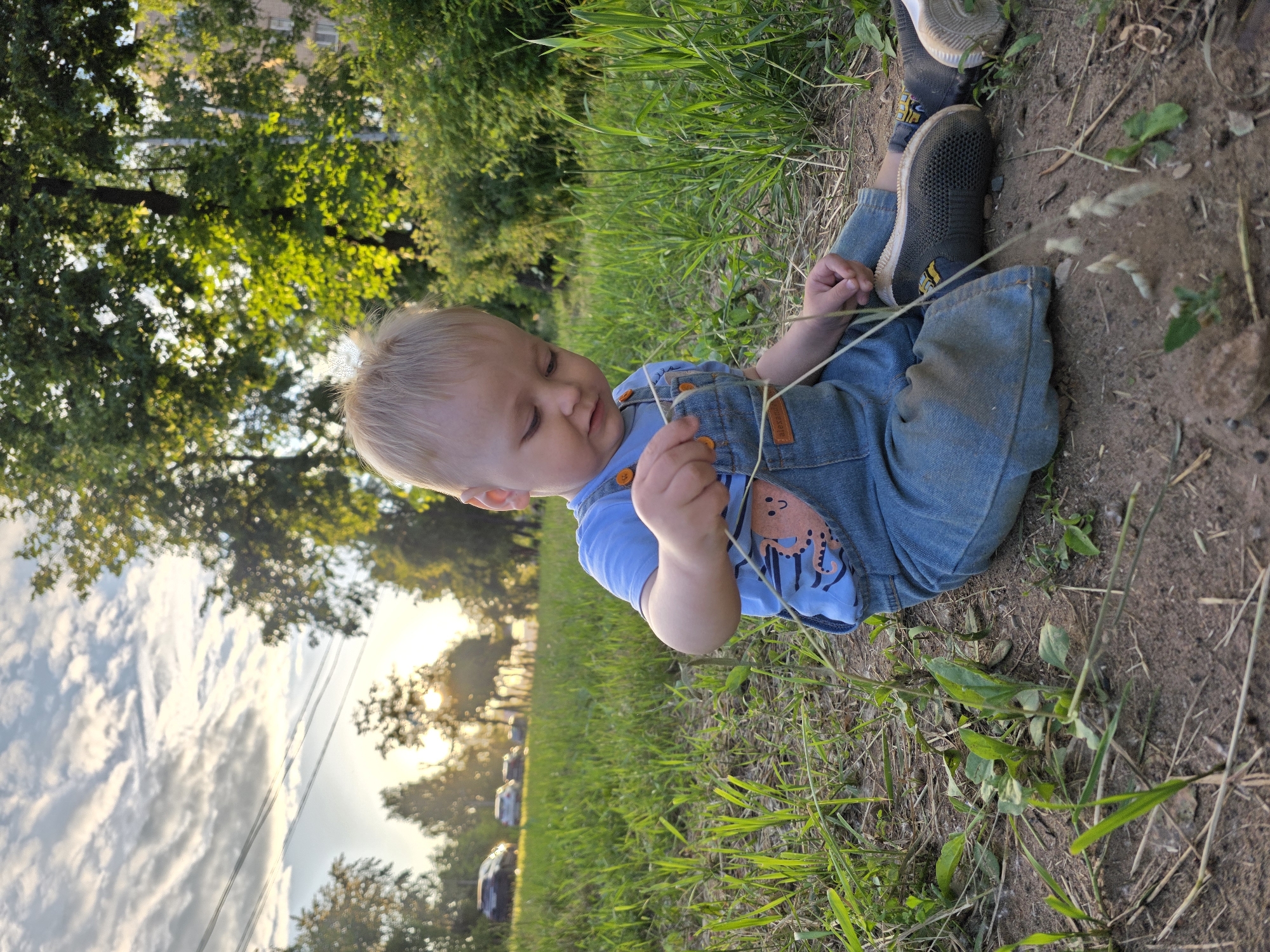 The image displays a young, blonde-haired child, estimated to be a toddler, seated on the ground in an outdoor, grassy area. The child is wearing a light blue t-shirt featuring an orange octopus graphic and denim overalls with orange buttons, notably soiled with dirt on the knees. Dark grey sneakers with yellow accents and white soles are visible on the child's feet. The child is intently focused downwards, manipulating several strands of dried, light brown grass or weeds with both hands.
The immediate ground around the child is composed of reddish-brown soil interspersed with sparse green grass and small emerging plants. Further back, the ground transitions into a more abundant area of vibrant green grass. In the midground, a line of mature trees with dense green foliage is prominent. The sun, low on the horizon to the left, casts a strong golden light through the tree canopy, producing lens flare and bright highlights. Several parked cars are indistinctly visible on an elevated surface or road in the far-left midground. The background consists of additional trees and, to the far right, a multi-story building with visible windows, suggesting an urban or suburban setting. The sky at the top of the frame exhibits a mix of pale blue and wispy white clouds. The lighting indicates late afternoon or early evening. The scene is situated within the city of Chaikovsky, Russia.