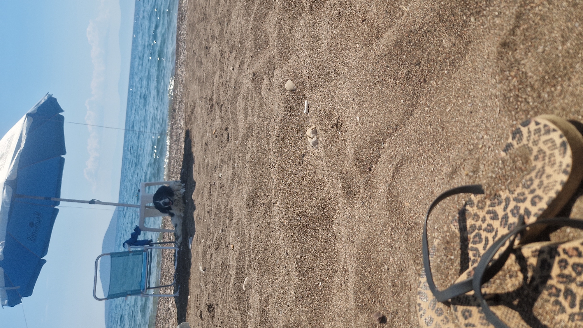 In the Municipal Unit of Asini, Greece, a black and white dog lies on a sandy beach under a blue and white umbrella. To the left of the dog, a blue beach chair is set up, and a small white table is positioned between the chair and the dog. The dog is resting and appears to be relaxed. The ocean is visible in the background, with gentle waves lapping at the shore. The sky is clear and blue with a few scattered clouds. In the foreground, a pair of leopard-print flip-flops rests on the sand. The scene depicts a peaceful day at the beach.